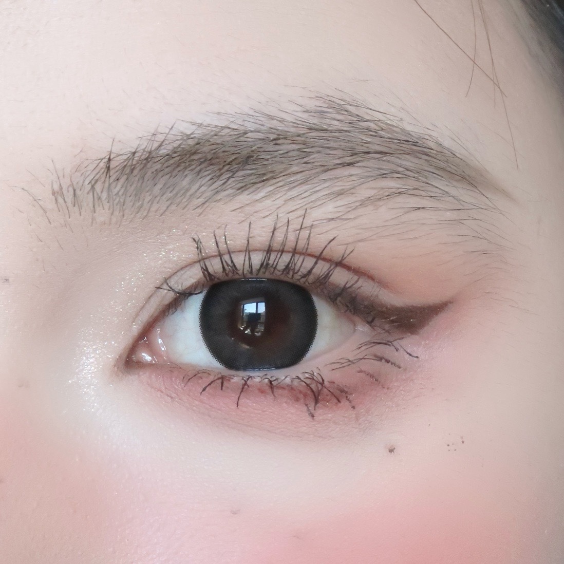 image_06D392E5-9B8E-4D46-B336-3A55CE95AF80_1742631449