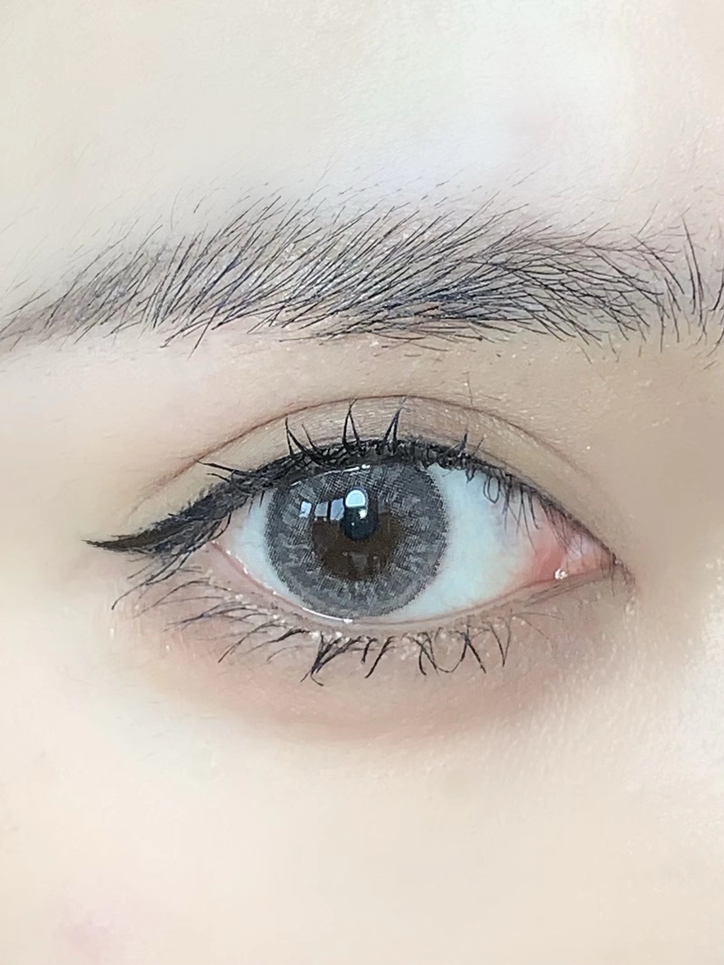 image_B54F2B6A-7503-420B-A2C4-0471B7FB1C07_1742632116