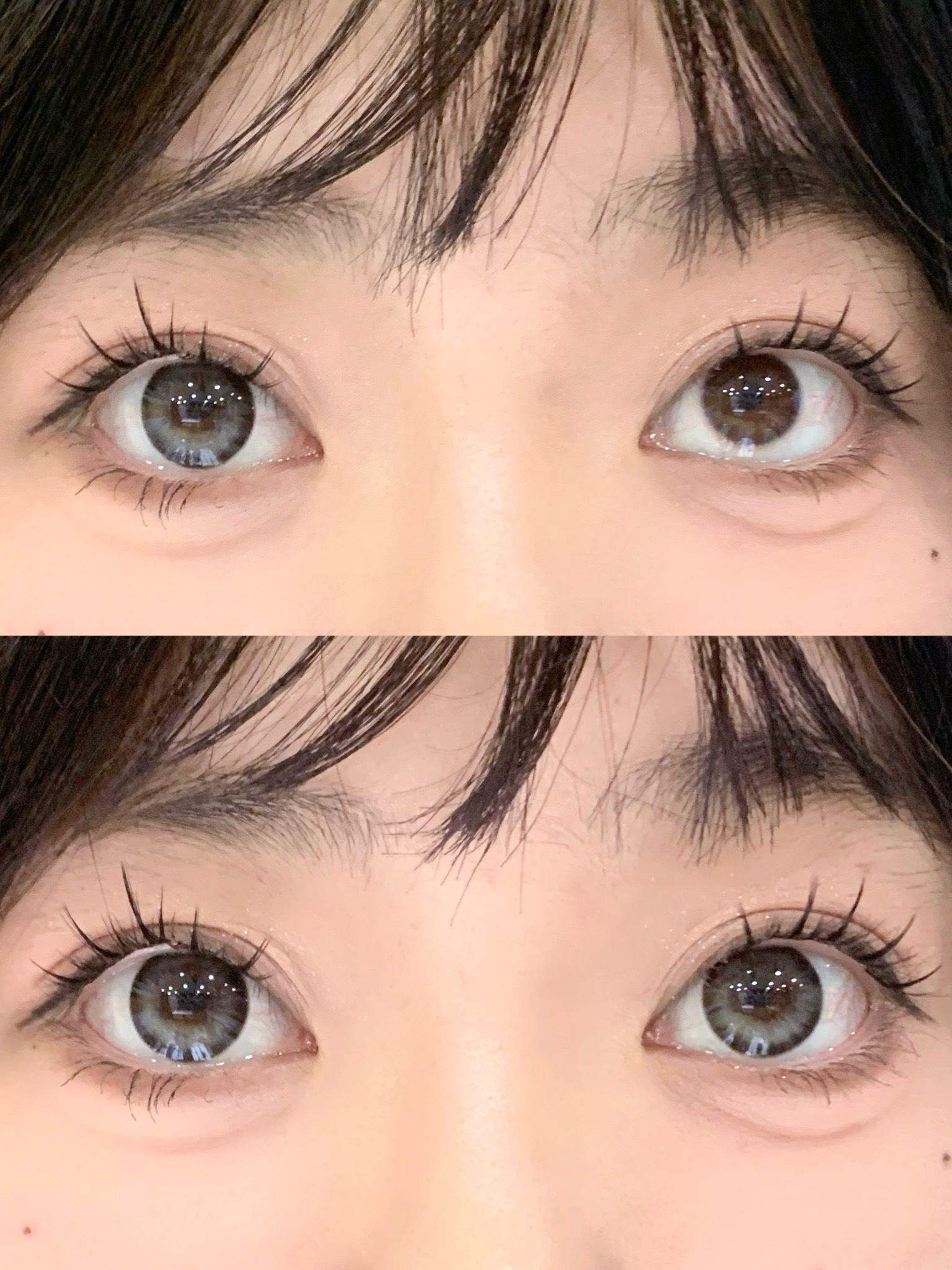 image_343C4C5D-A6D1-4ACD-92E0-DEB1DE79B0A6_1742651202