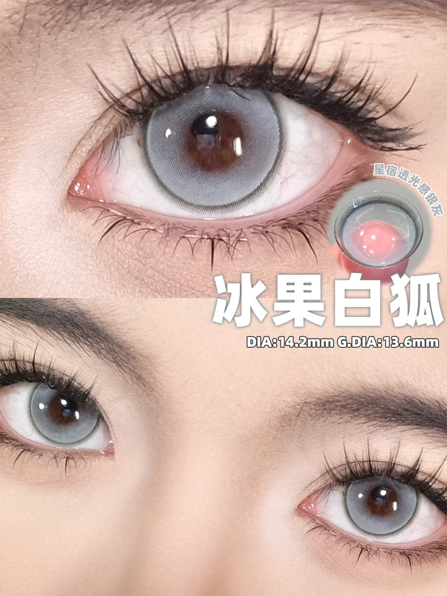 image_D4DA1B7C-8DBA-44E2-B063-334E4D5BDDC5_1742731887