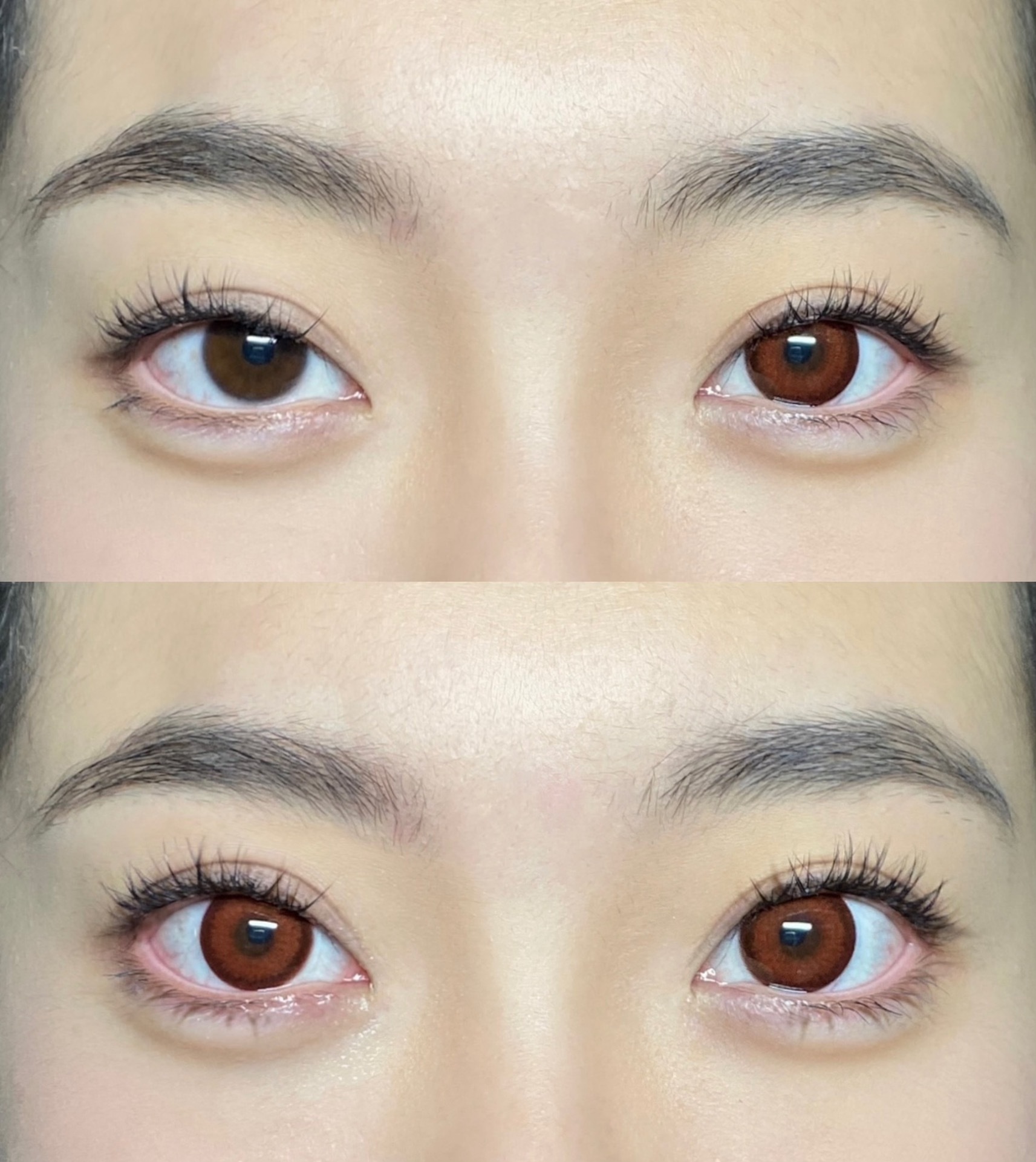 image_26661164-A490-45D6-8311-D234D5E16031_1742732384