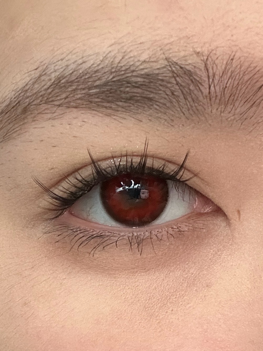 image_73EA74DF-5233-435C-BFD3-32AD1F20FB0F_1742751068