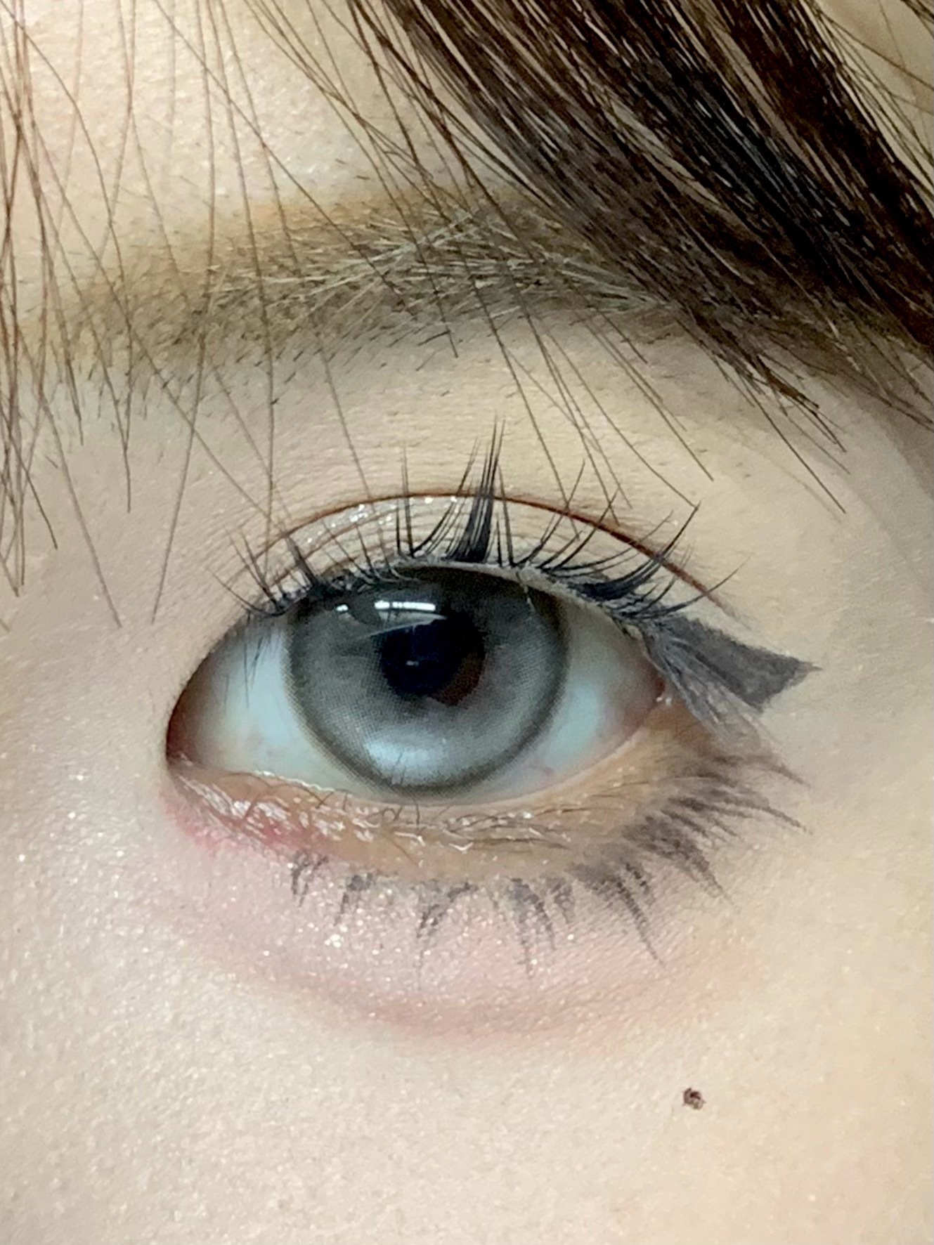 image_7F3596FA-A15A-4014-A8BB-5278CB2AFF84_1742754373