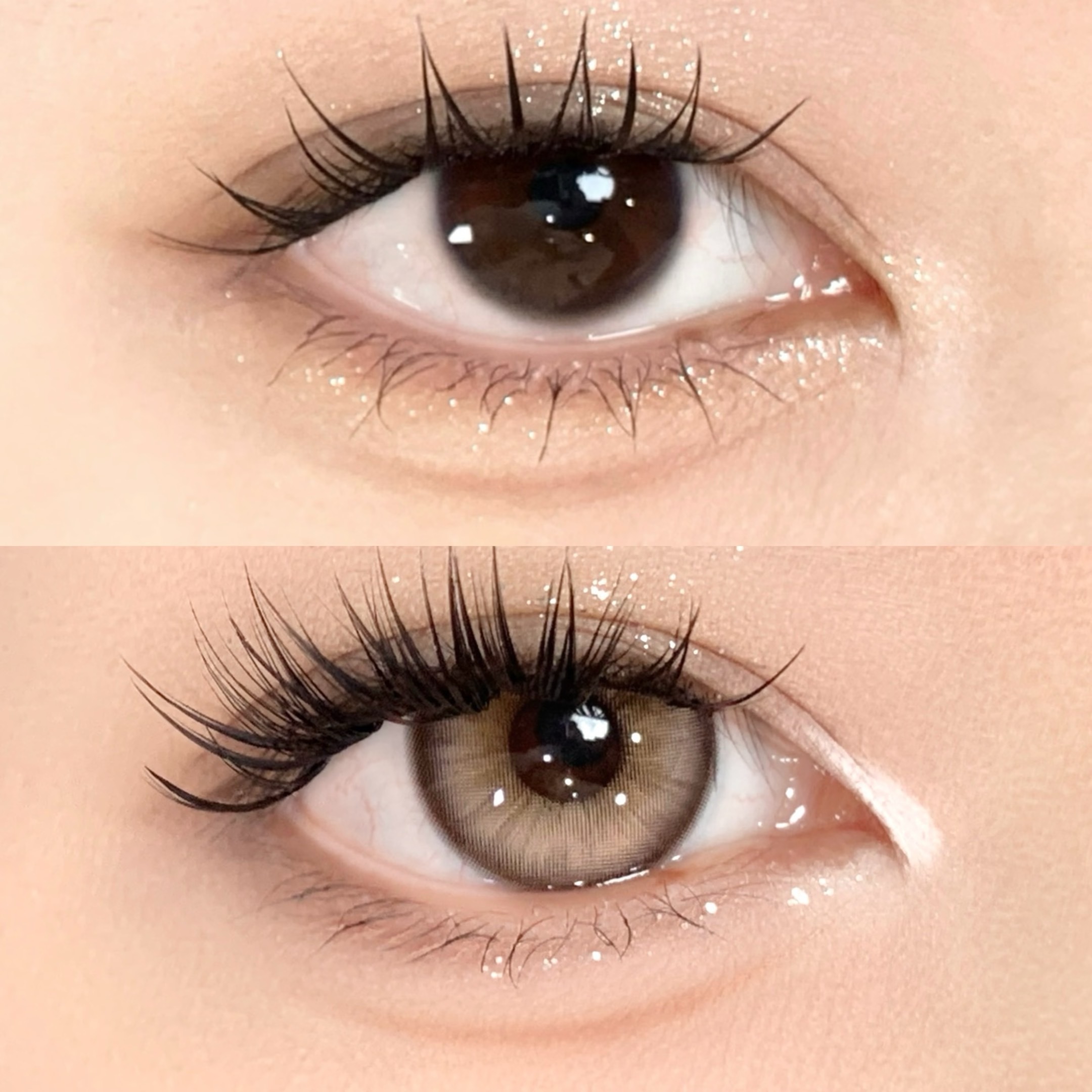 image_FE74CE41-E7AE-4BBD-9D1D-4CFA41A2A61F_1742754501