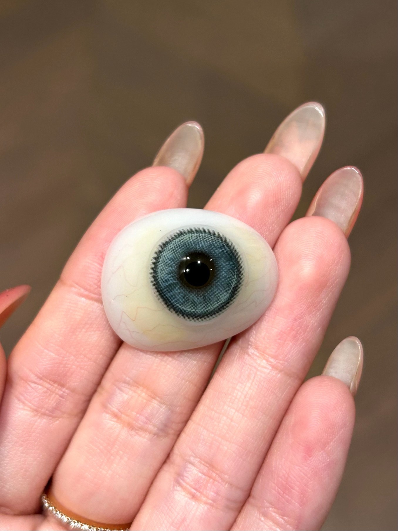 image_BB297B38-1EA3-485C-85AD-50923BE49895_1743599059