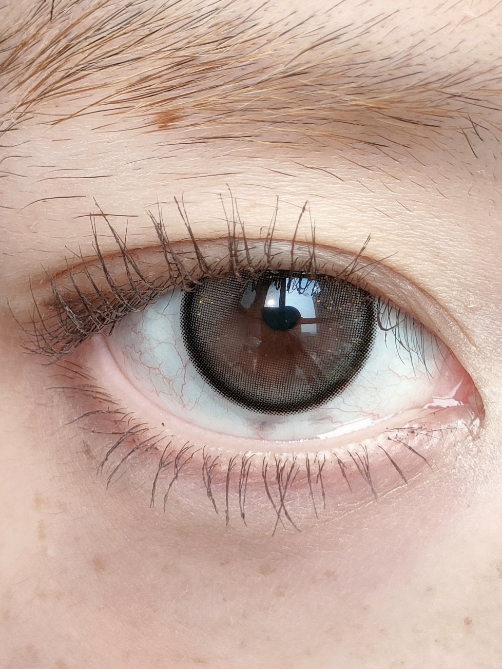 image_88CF152A-9ECF-4DBD-9518-523367E9CBD0_1743599676