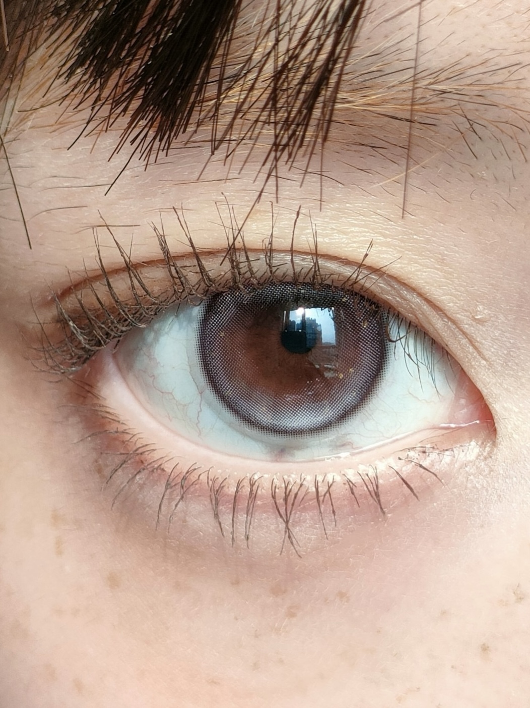 image_4DD39718-8B28-48AD-AF5A-4FD5530E2D0B_1743600240