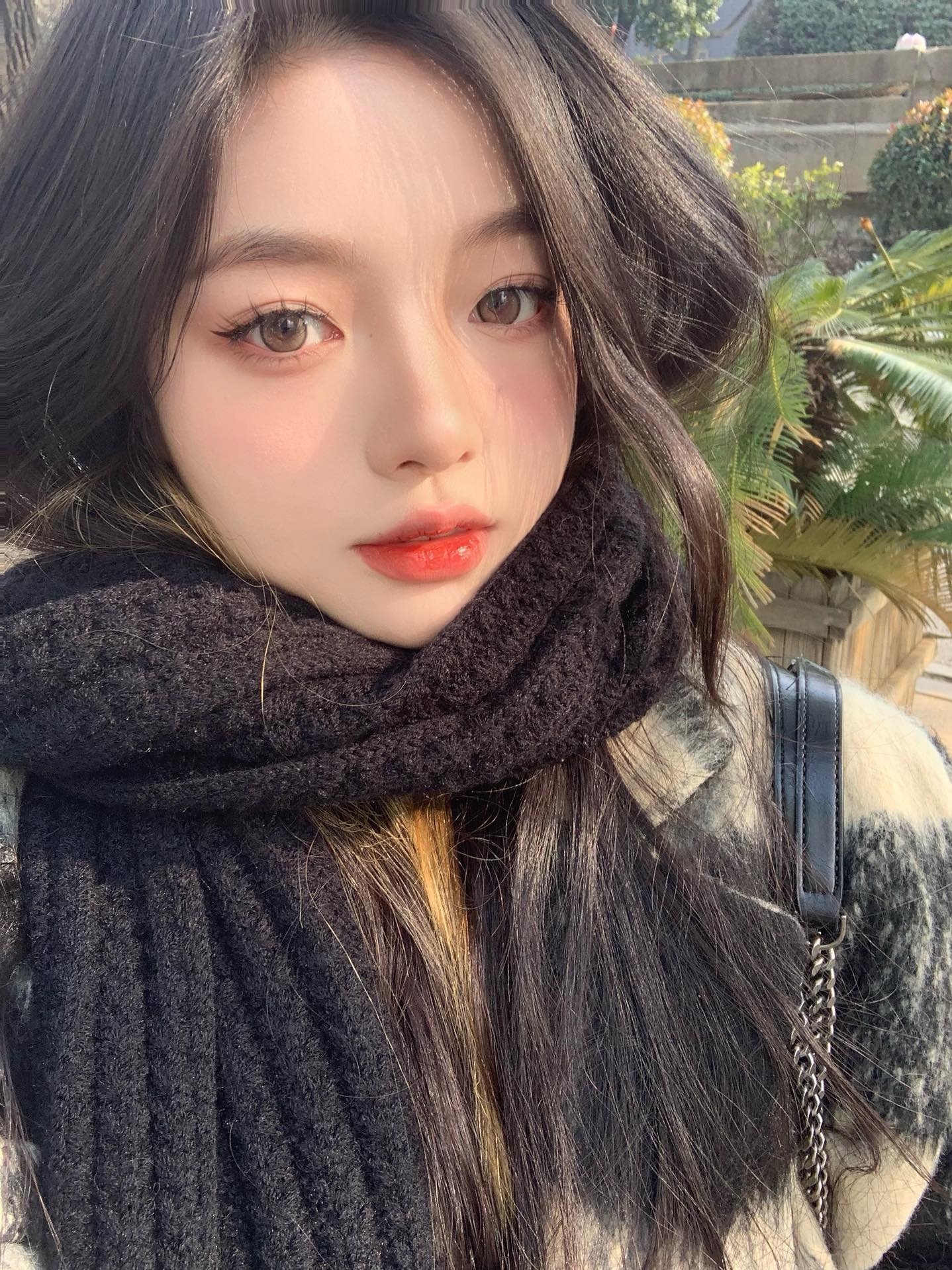 image_D6F47907-185E-479D-9F0F-4EE851398D10_1743612409