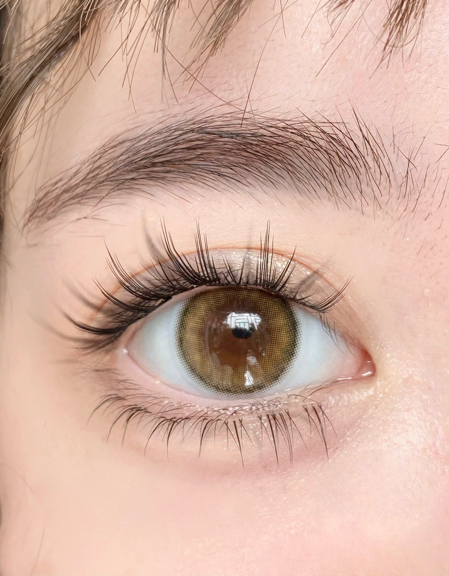 image_FB79E80A-D95A-440A-9C87-A6446812F389_1743616913