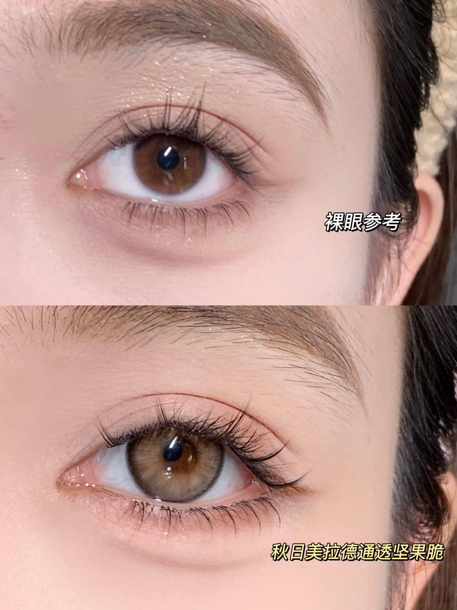 image_B3EF18C8-532D-404A-9054-026AD7D68D75_1743617650