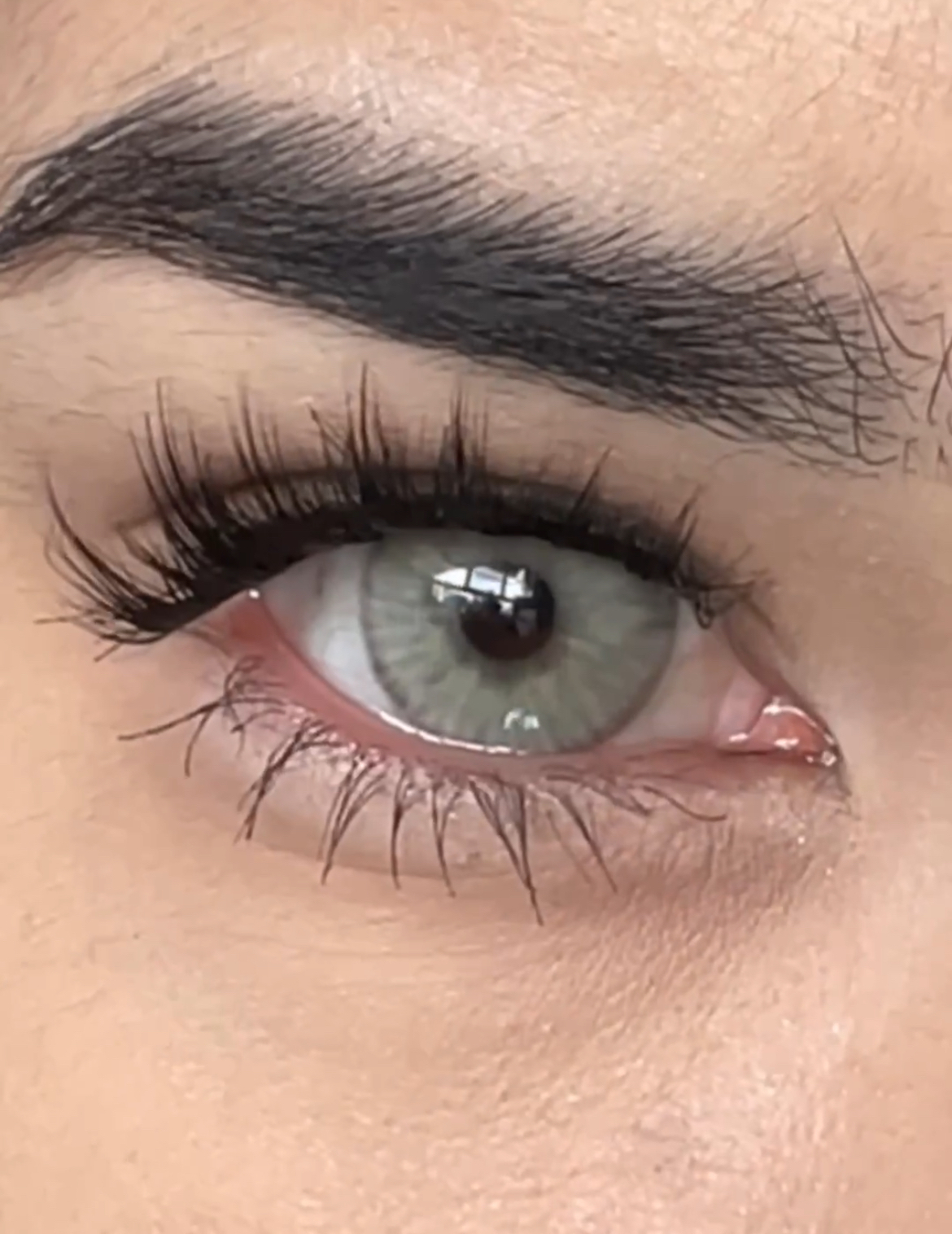 image_2B7656D3-92EA-4B6D-8CA9-1F65EE480421_1743768969