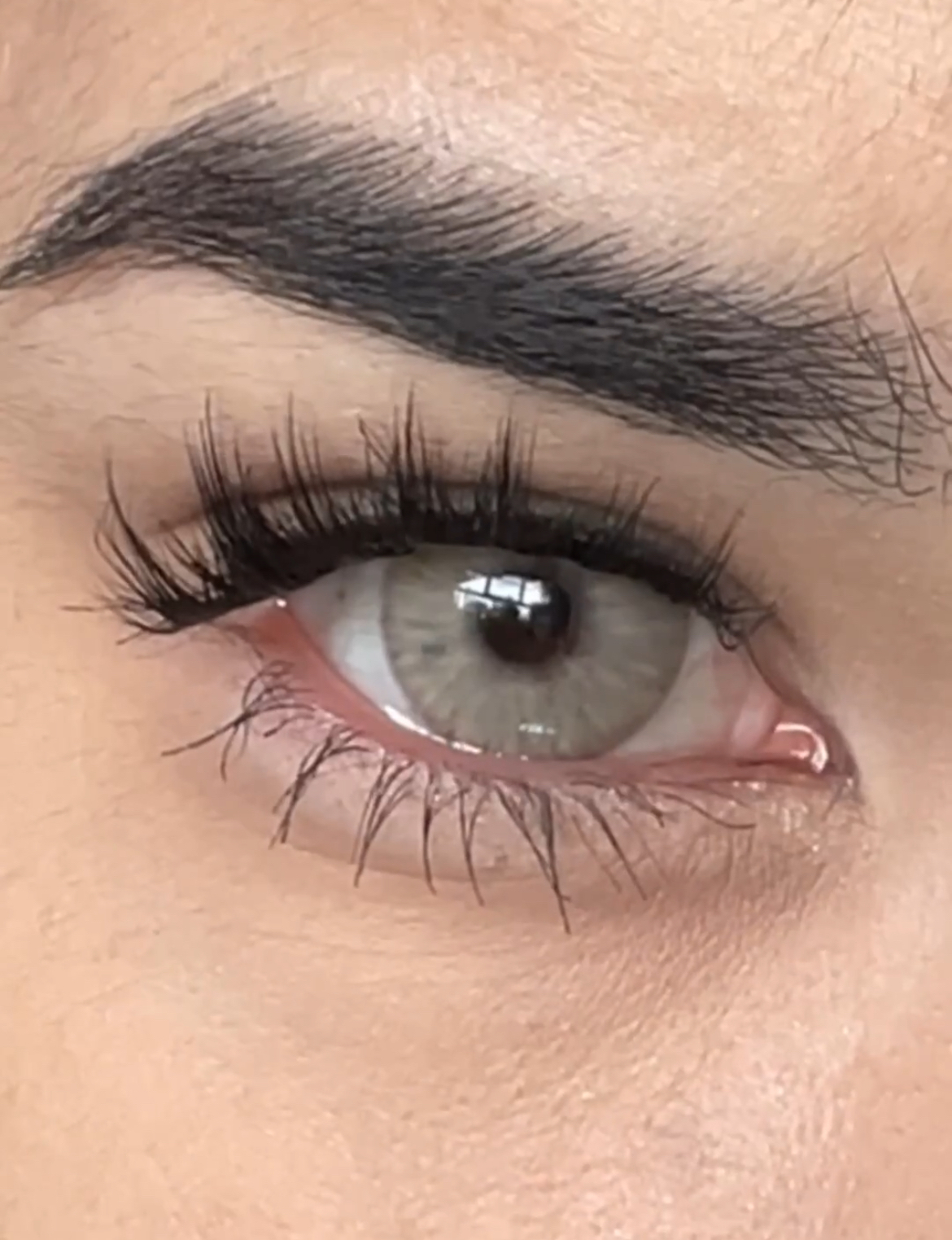 image_5200C821-27FC-4363-A3F6-6D13241AC3B1_1743769117