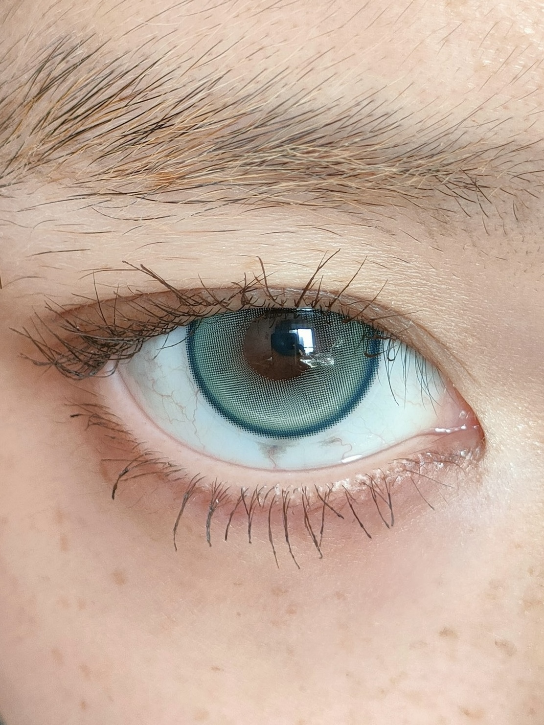 image_830F0FC4-37AE-4243-A03F-3343844D67DB_1743770600