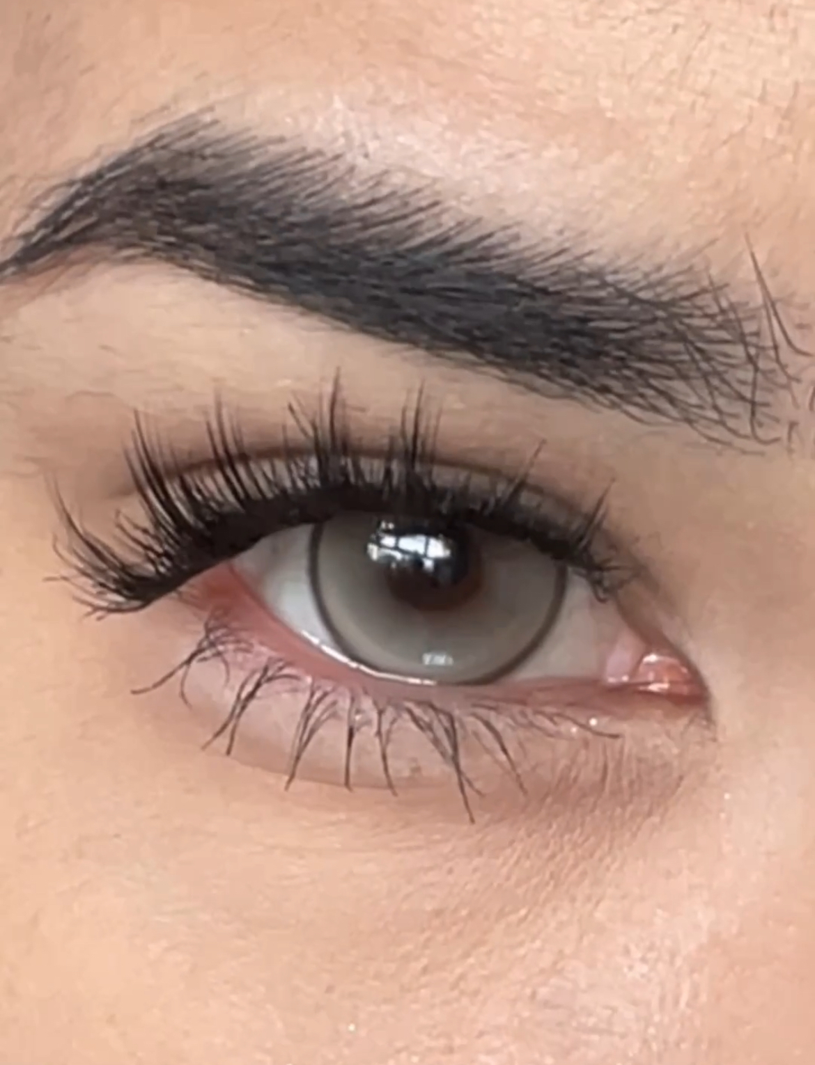 image_8F22F8CA-2A5A-4B29-B804-62724D249DE9_1743771383