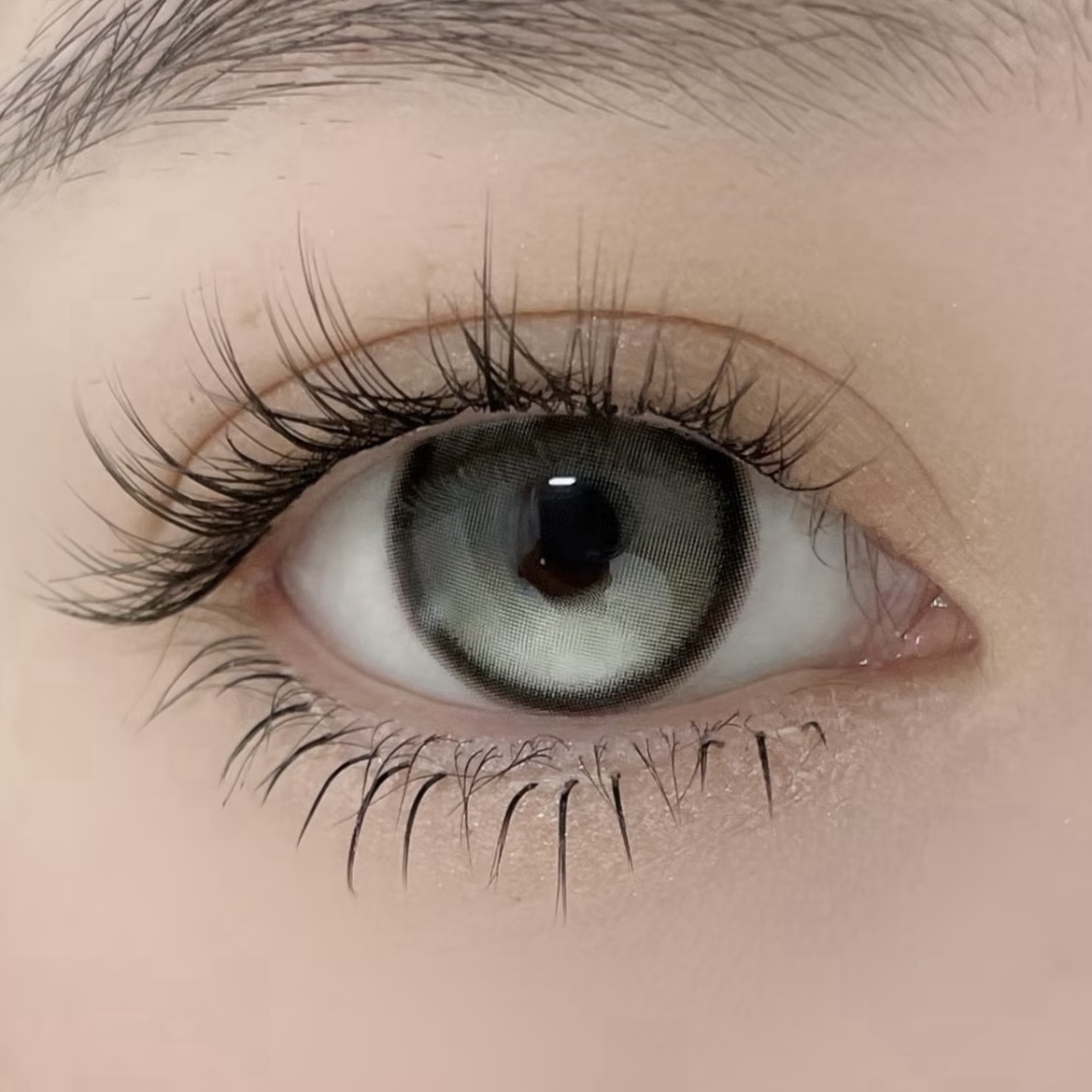 image_73D3F1CA-BF2C-485D-842B-F69FE5E1D85D_1743863657