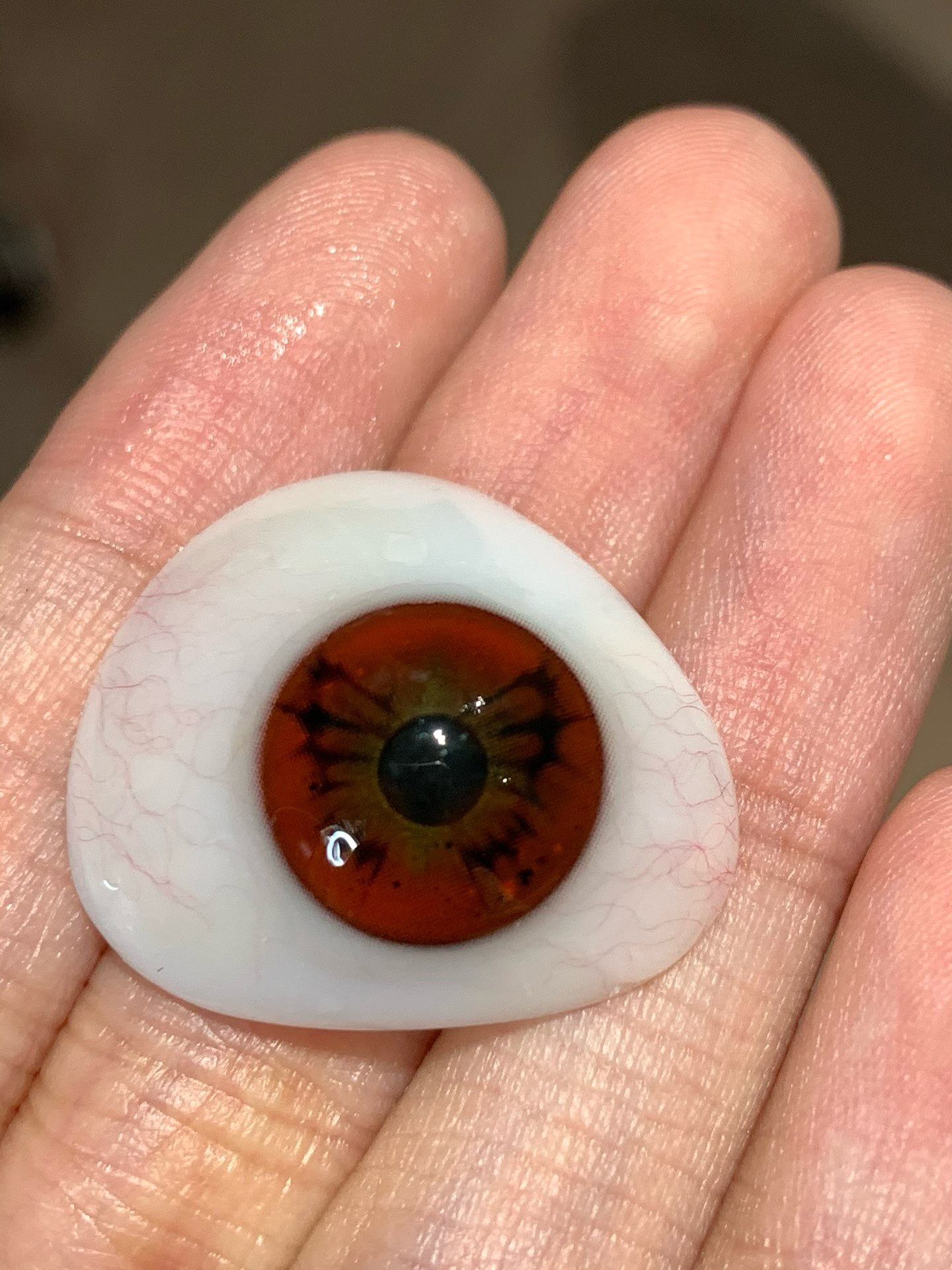 image_F7A537DE-C9A4-4F57-8DD4-F6B1B859A8EB_1744441062