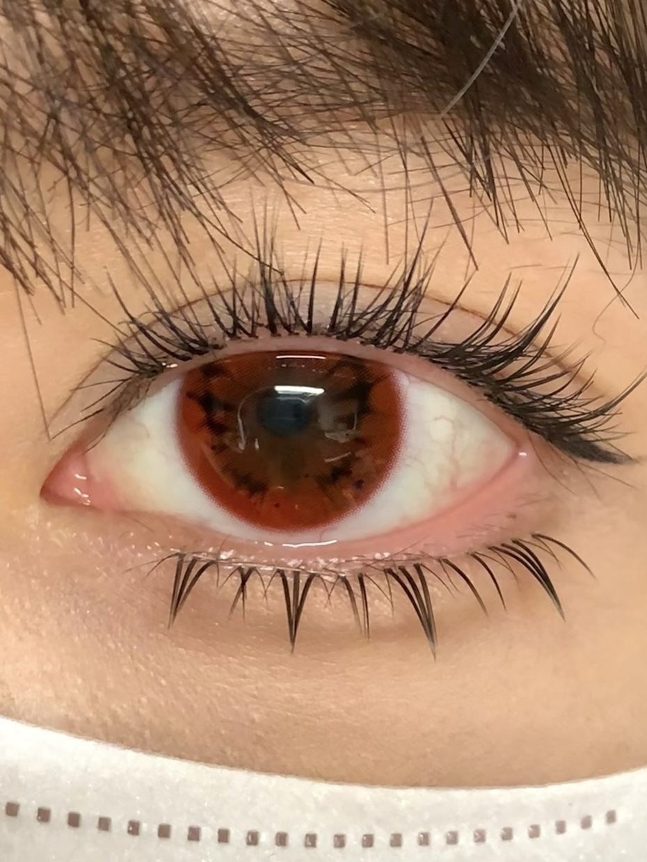 image_69E3497A-8EDC-41AB-8132-AFE00CAD1123_1744441062