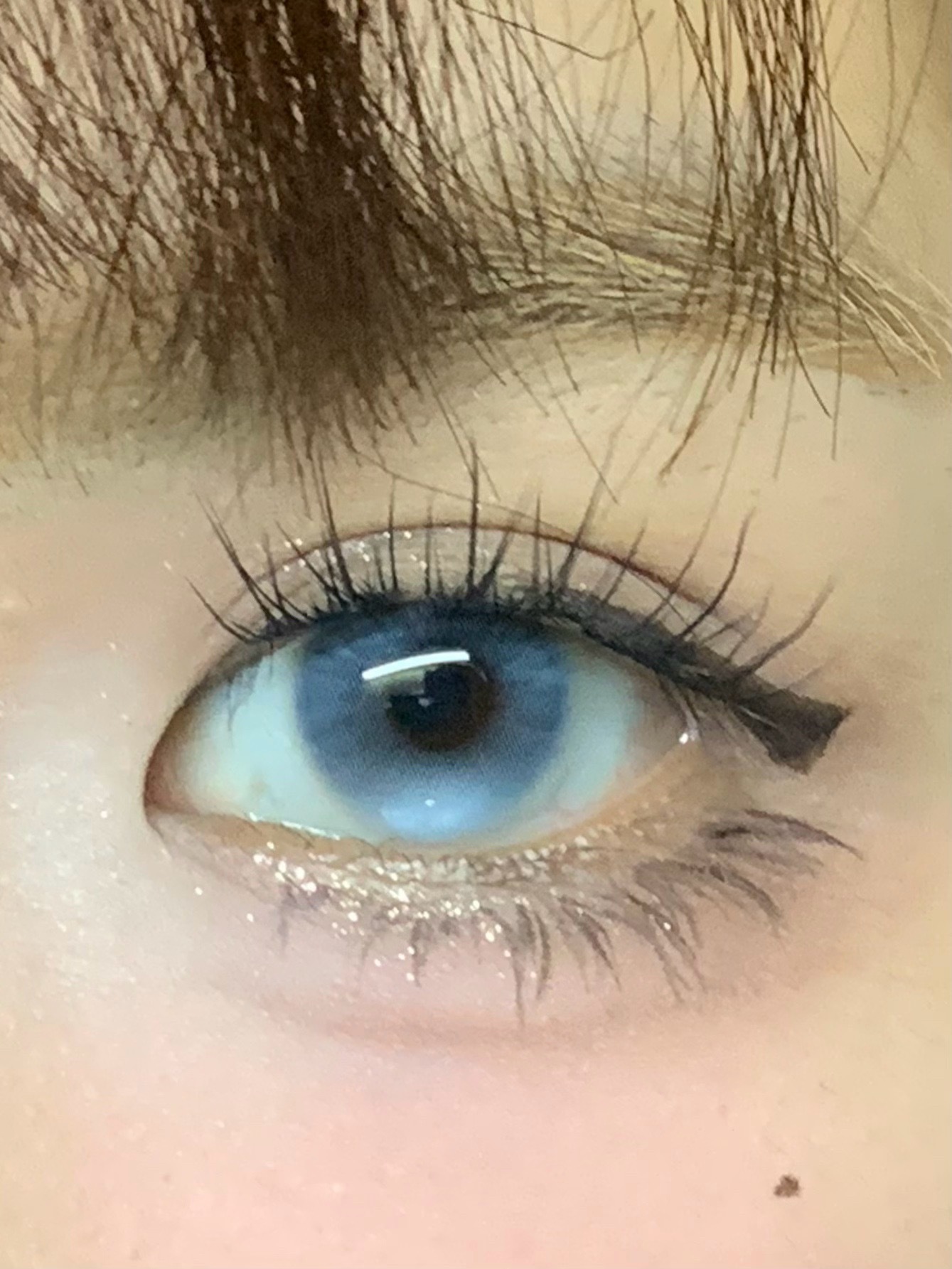 image_3AA7D340-6BB7-4231-8ECD-F333078B65DA_1744441736