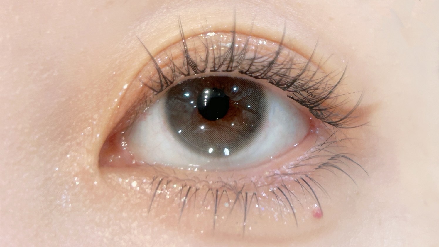 image_181868A0-0BFB-4768-A86E-D13919B0D3B7_1744645446