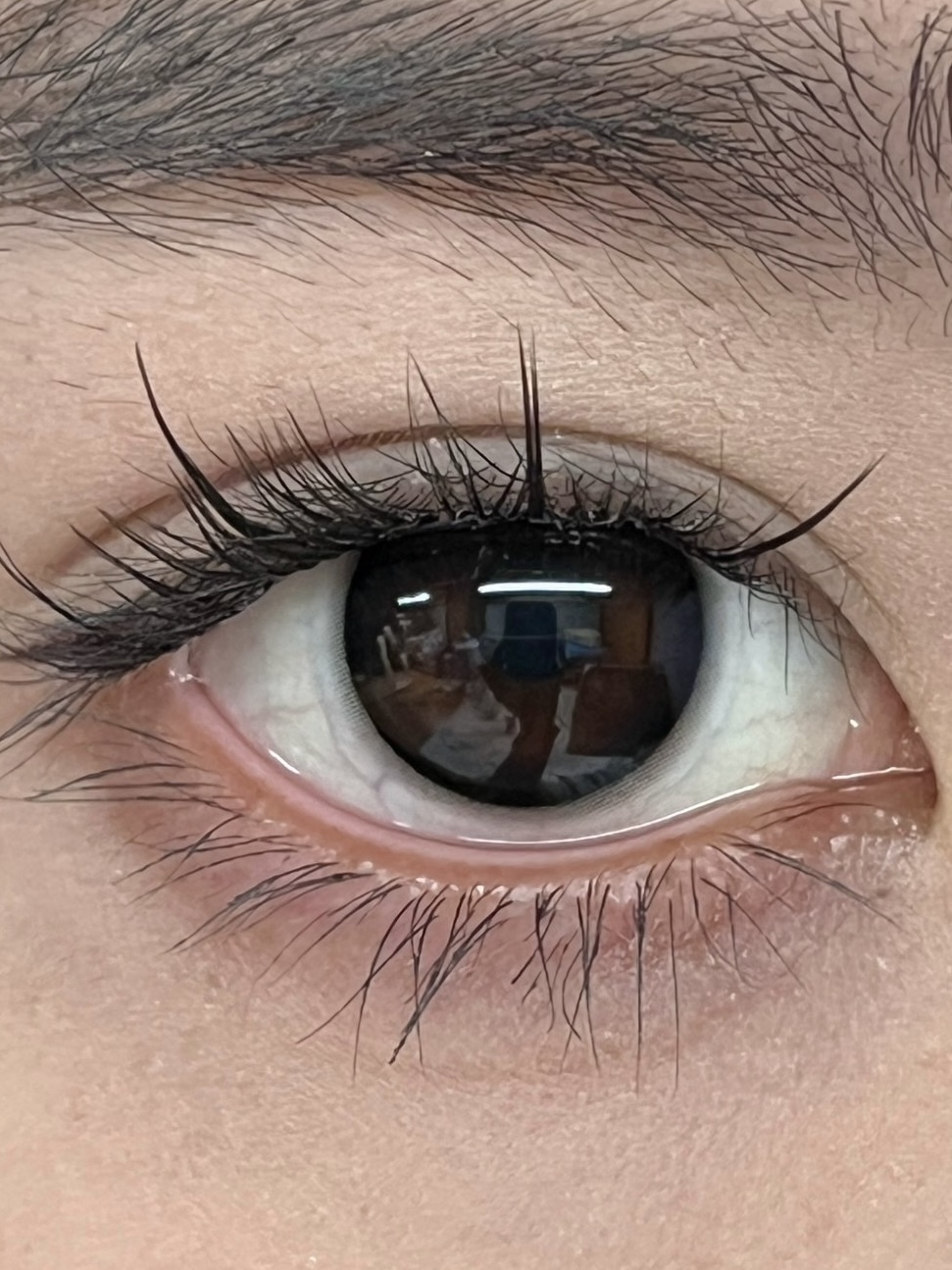 image_2F06FAFD-2B24-41D4-8A96-6F9B40983D62_1744720174