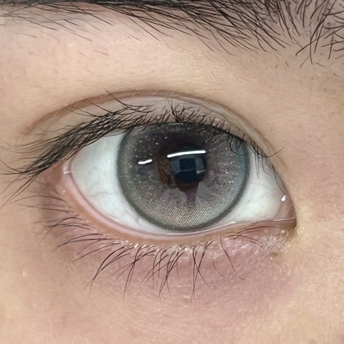 image_D85A7FCE-2D15-4F8D-8B68-C4C99F1AB863_1744813678