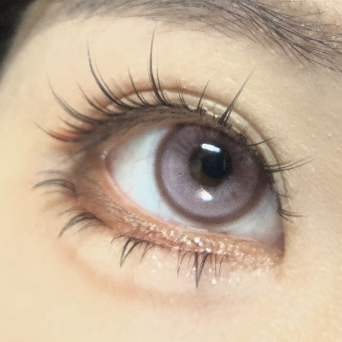 image_9A1D1C26-FB03-426E-9F19-EB3754895884_1744830328