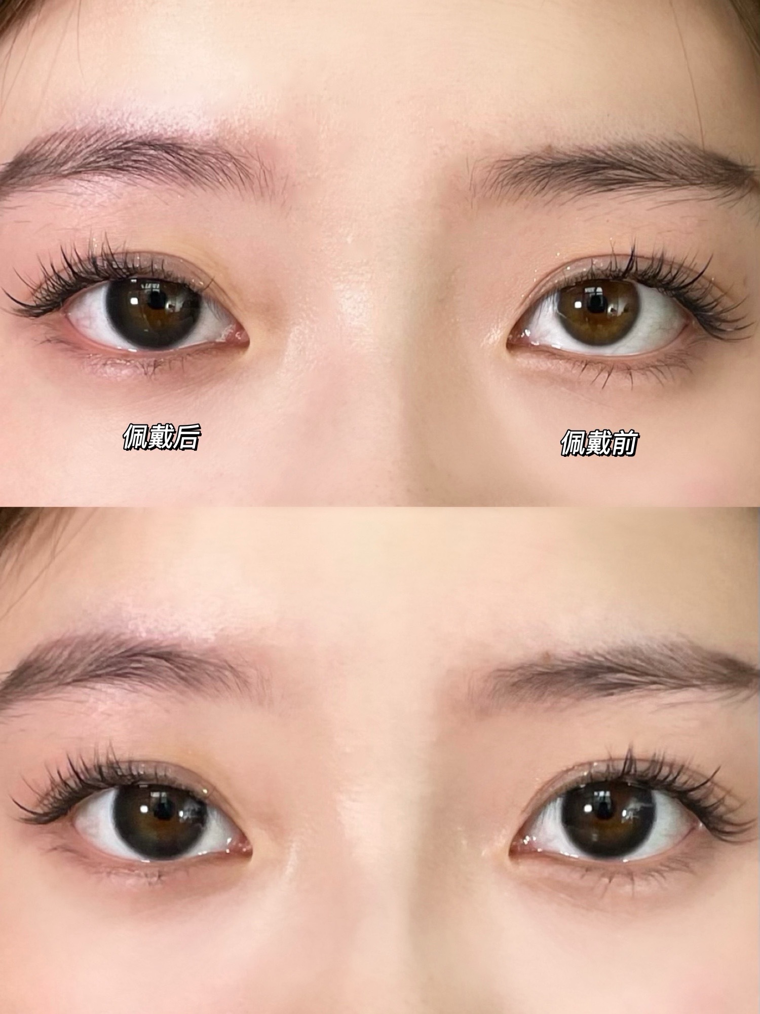 image_4C07ADC9-B8E5-4556-A741-DD6E93CF5817_1744832315