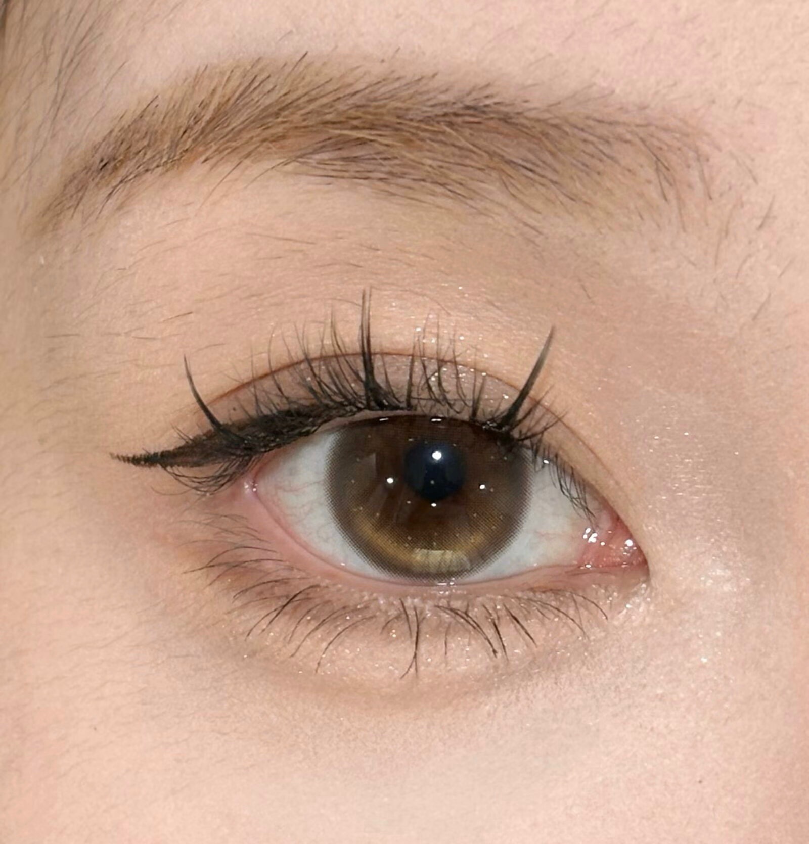 image_4FBEFEAA-F643-49B8-8DC0-2AC6A76453D2_1745410574