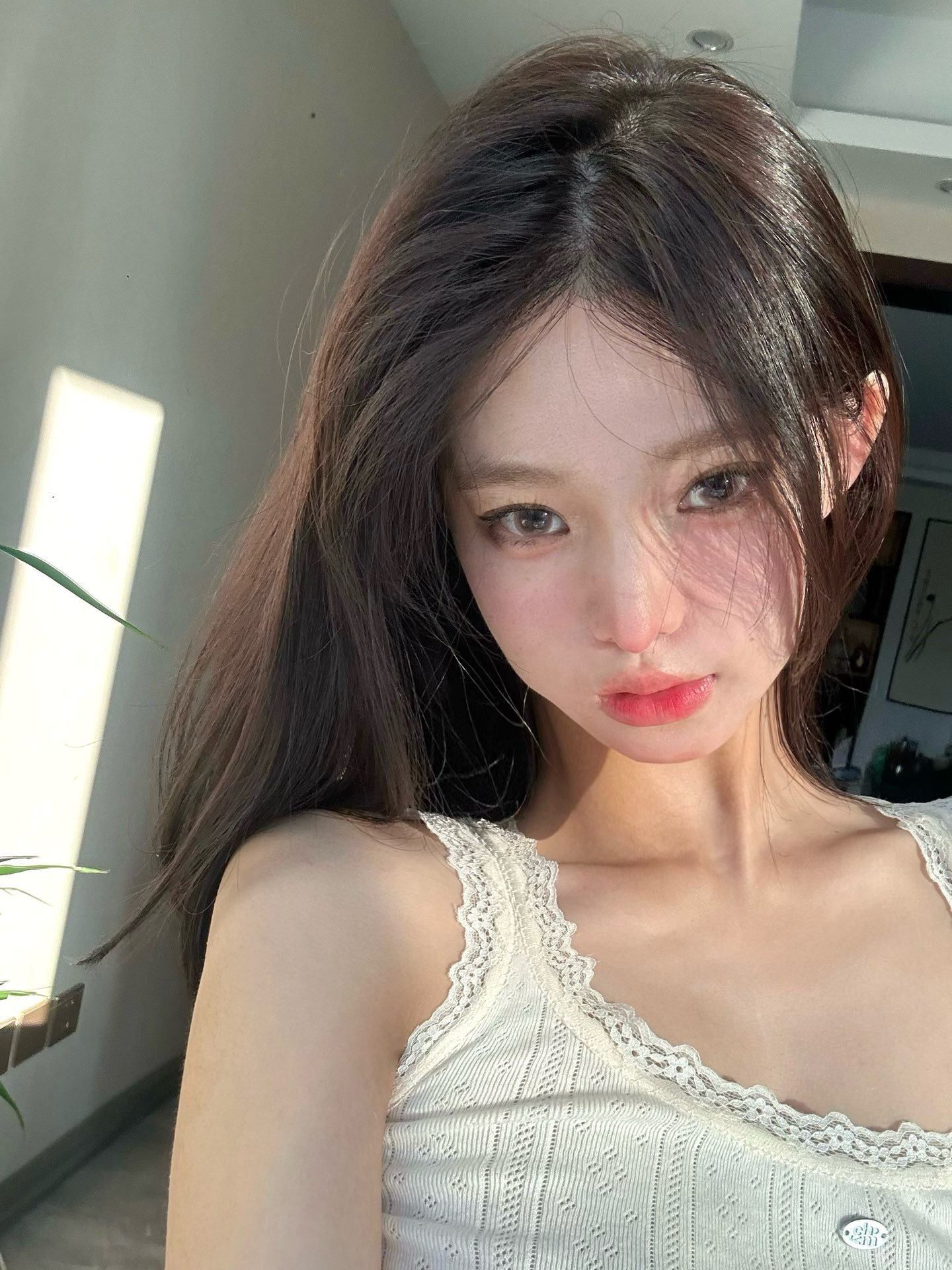 image_7ABC7535-B461-43F3-B7FB-0381FCBF157B_1746379814