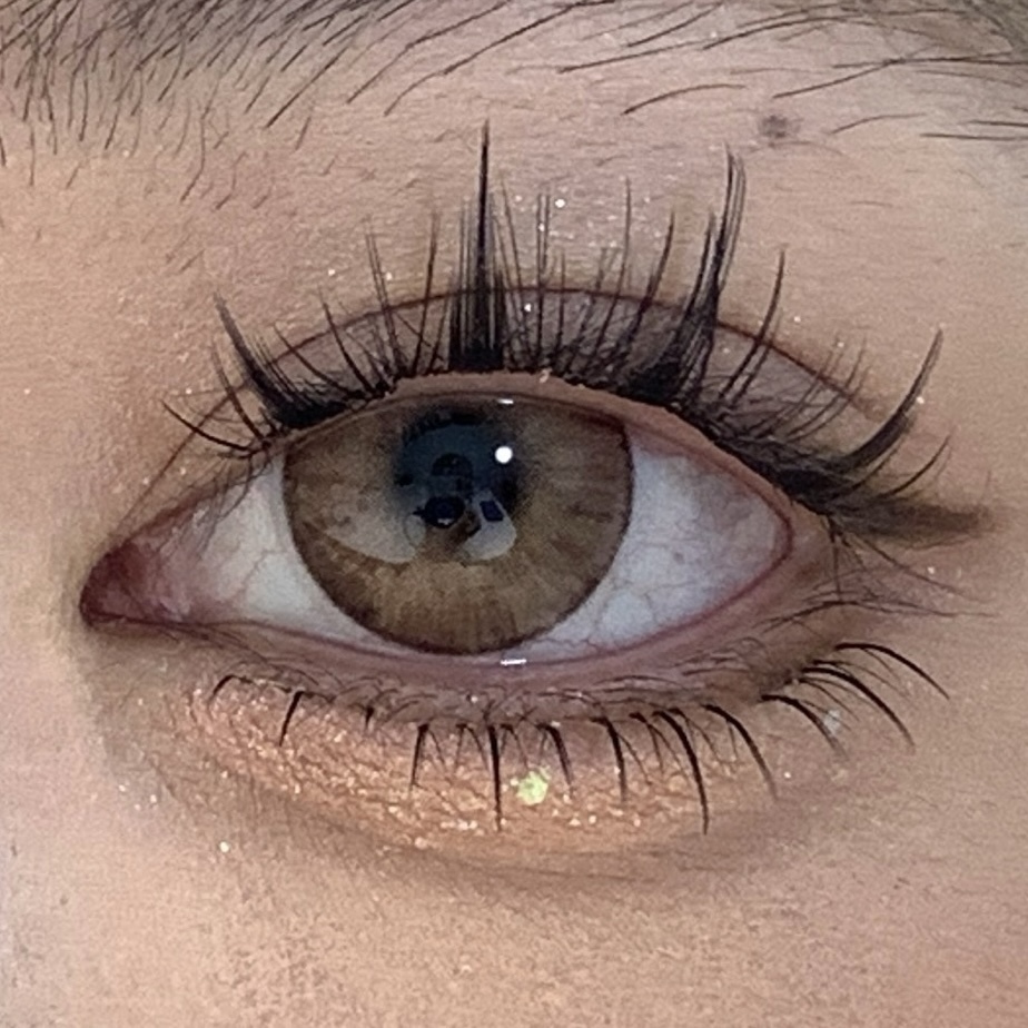 image_422C5D17-7509-4061-9C89-47E3137C0AB9_1746385903