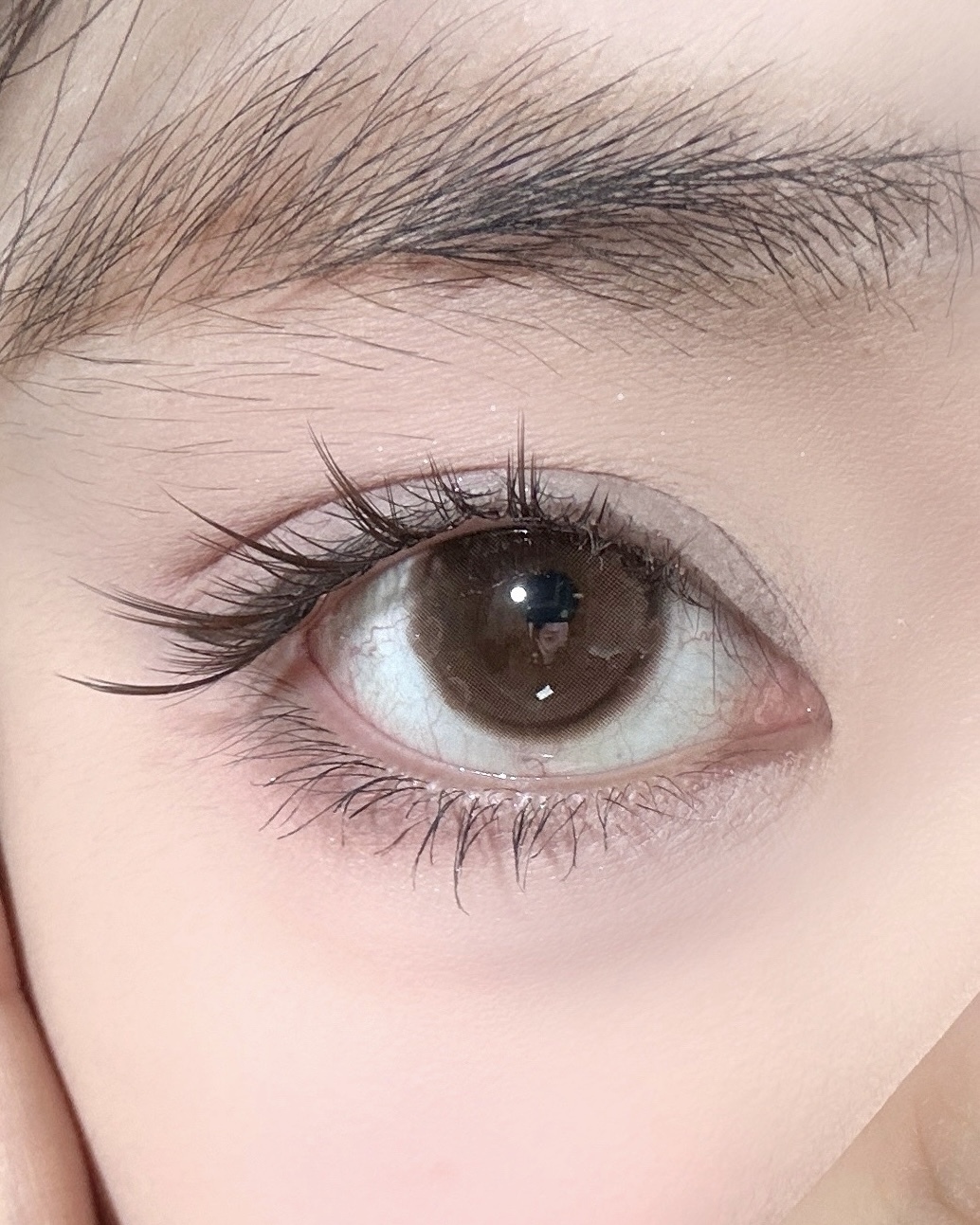 image_8E029138-2191-4213-A76C-5C91C029766F_1746771175