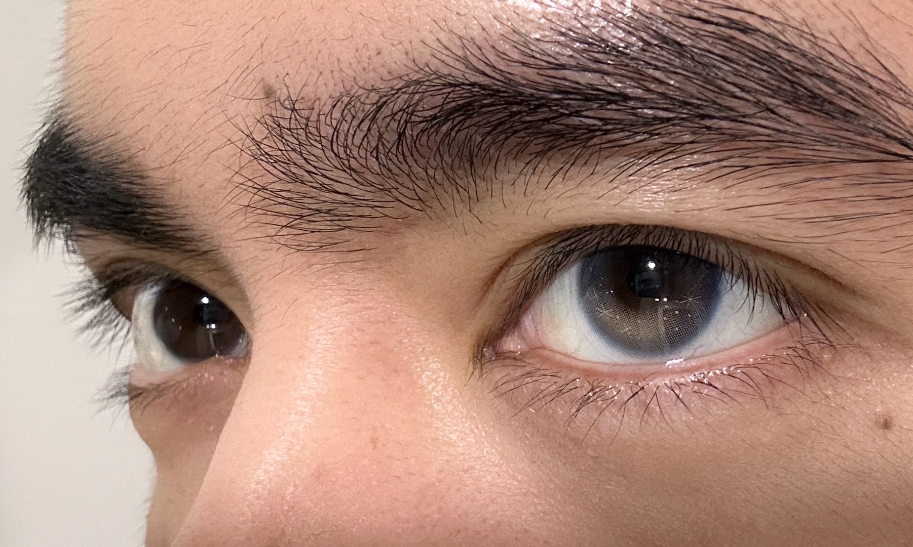 image_6177FAE9-361C-4EFA-A6F3-F0E4511A00E8_1747908366