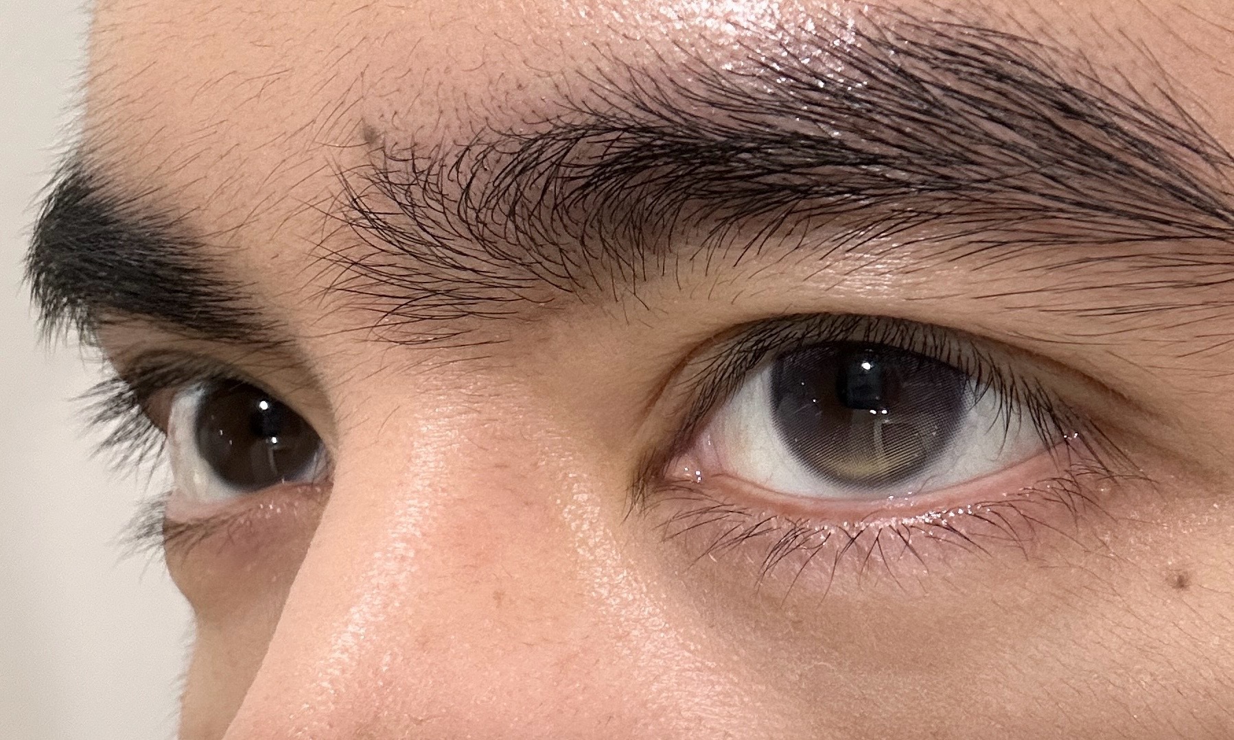 image_54C1C386-84C3-4502-9F8E-0DB3AE24F27C_1747908421