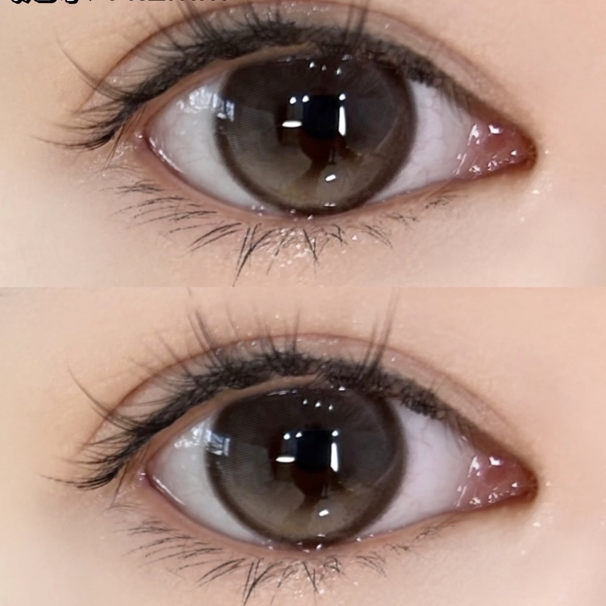 image_9E8BBB25-FFEF-4018-915C-43F0238F774E_1748623788