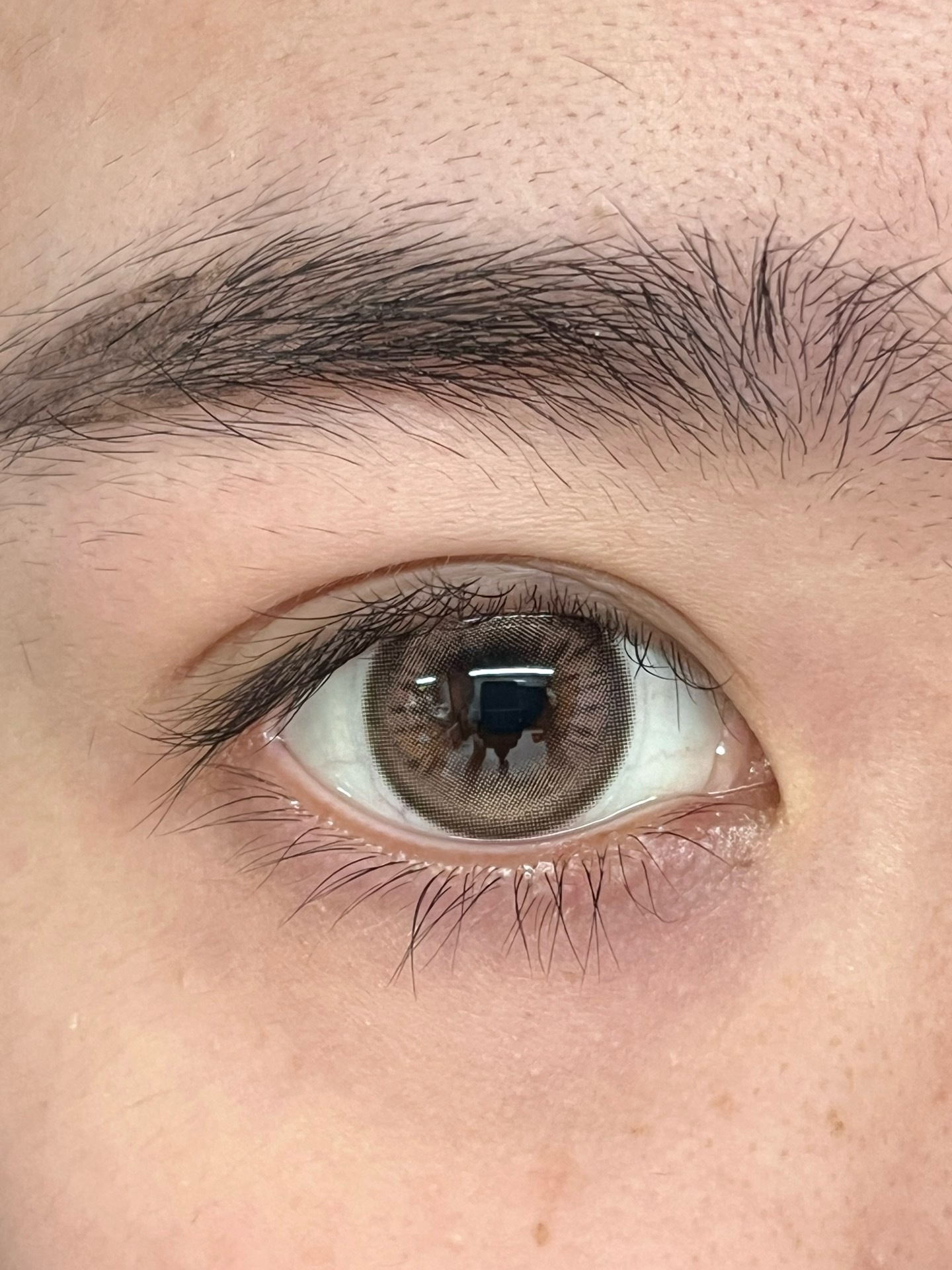 image_36398E98-6EBC-429D-AF21-8BED0B78BF95_1748676083