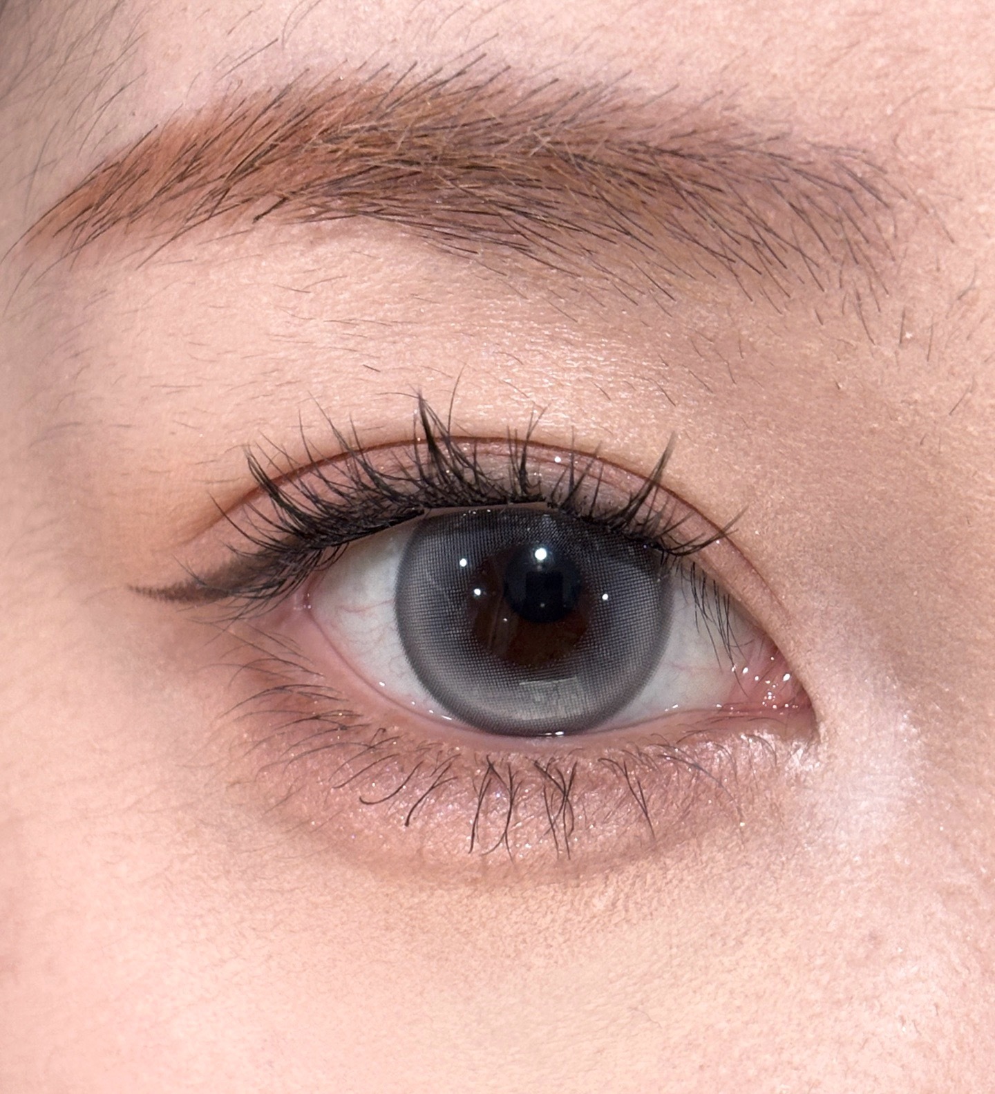 image_1A1A4476-6C7F-4939-888F-5714213550D4_1749049319