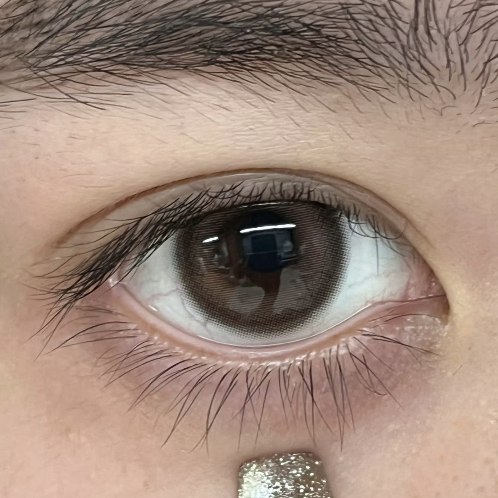 image_A2FFC46B-9070-4EBB-B913-C0181BEB3D59_1750690409