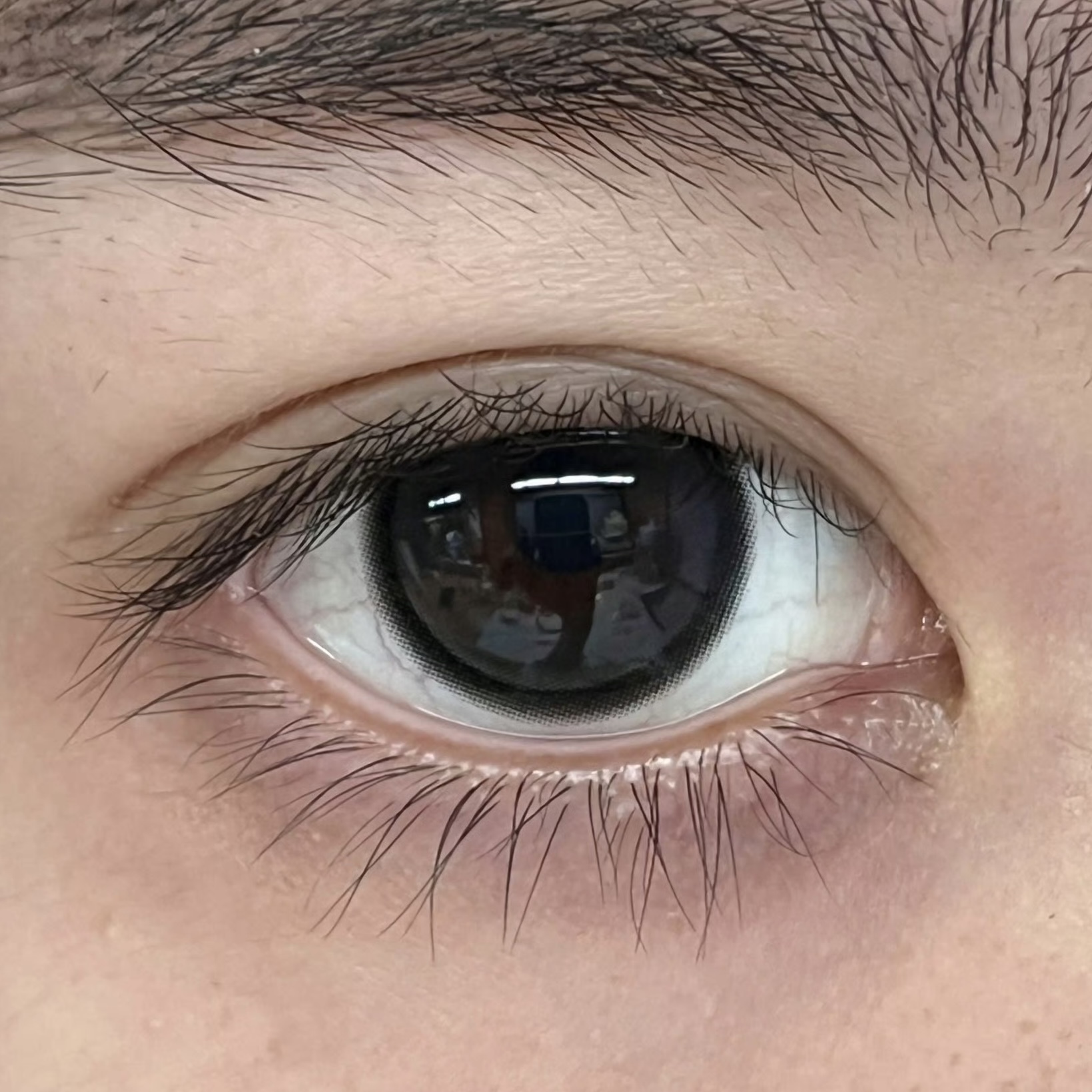 image_D26C050C-CD2D-48D6-B08C-D65FB6FE16F3_1750690448