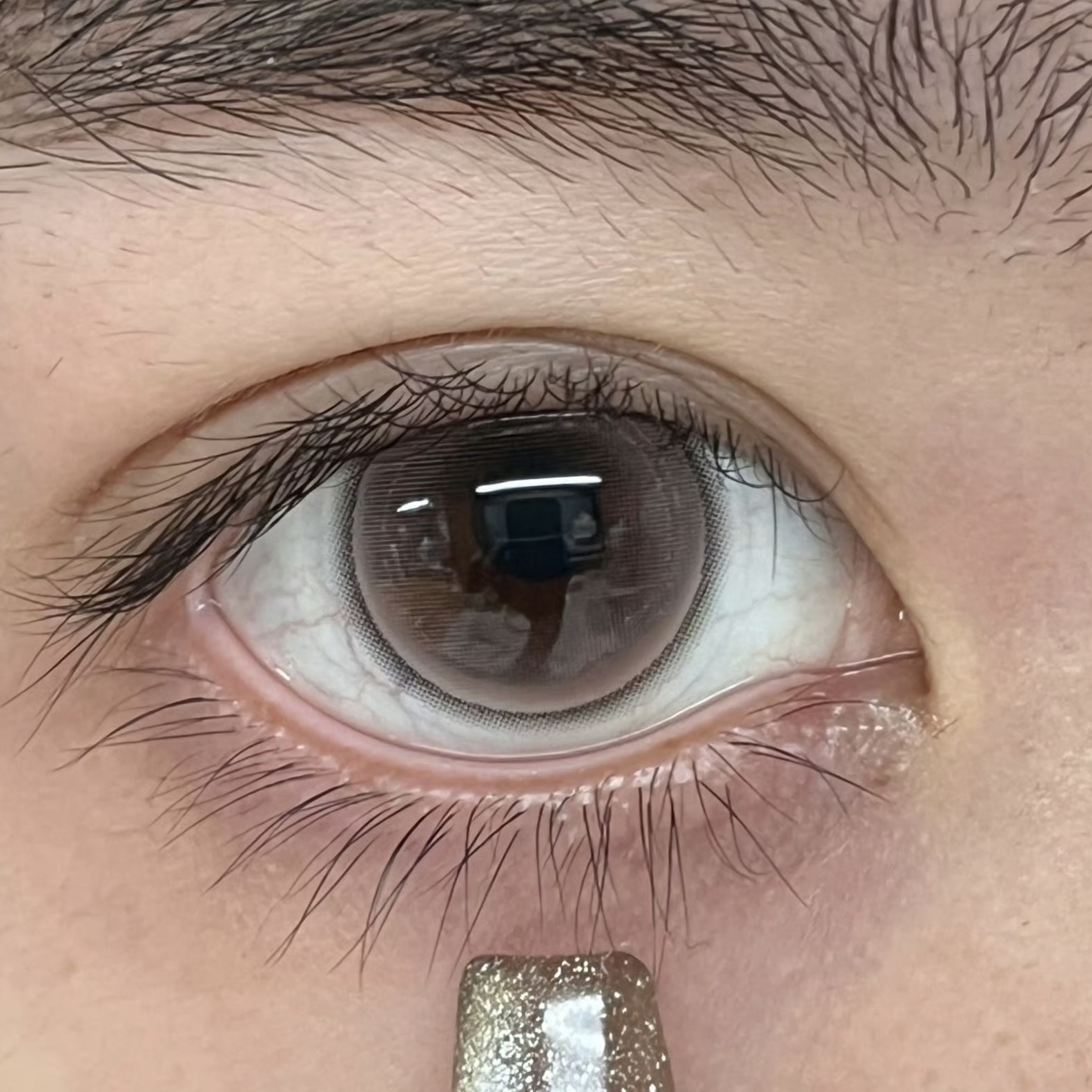 image_63D5E2AE-E617-4A1A-BBB1-CD0BEE77D260_1750690590