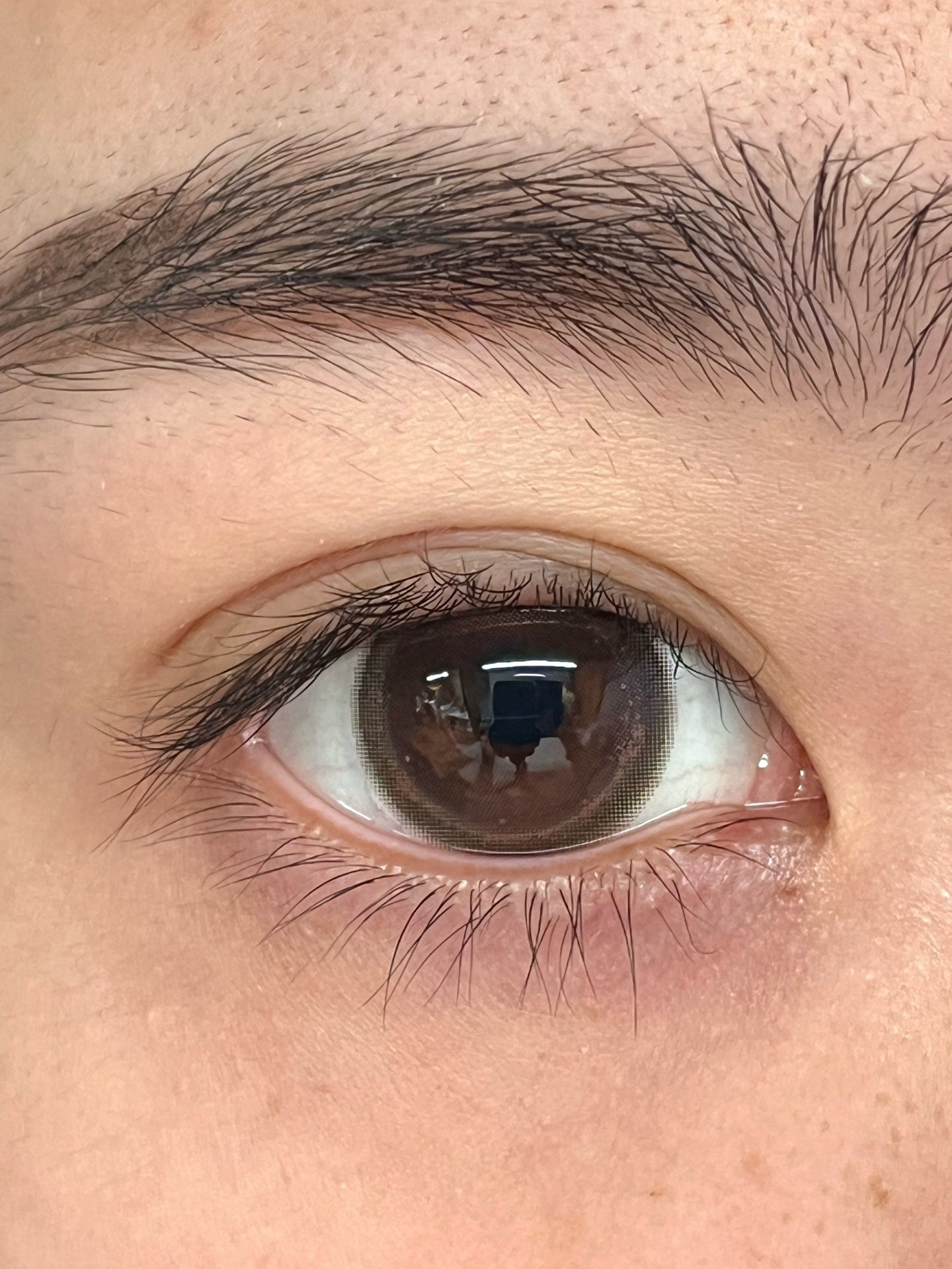 image_C3F850AC-8CDF-450D-BDBC-8CDC25F2AD0D_1750693492