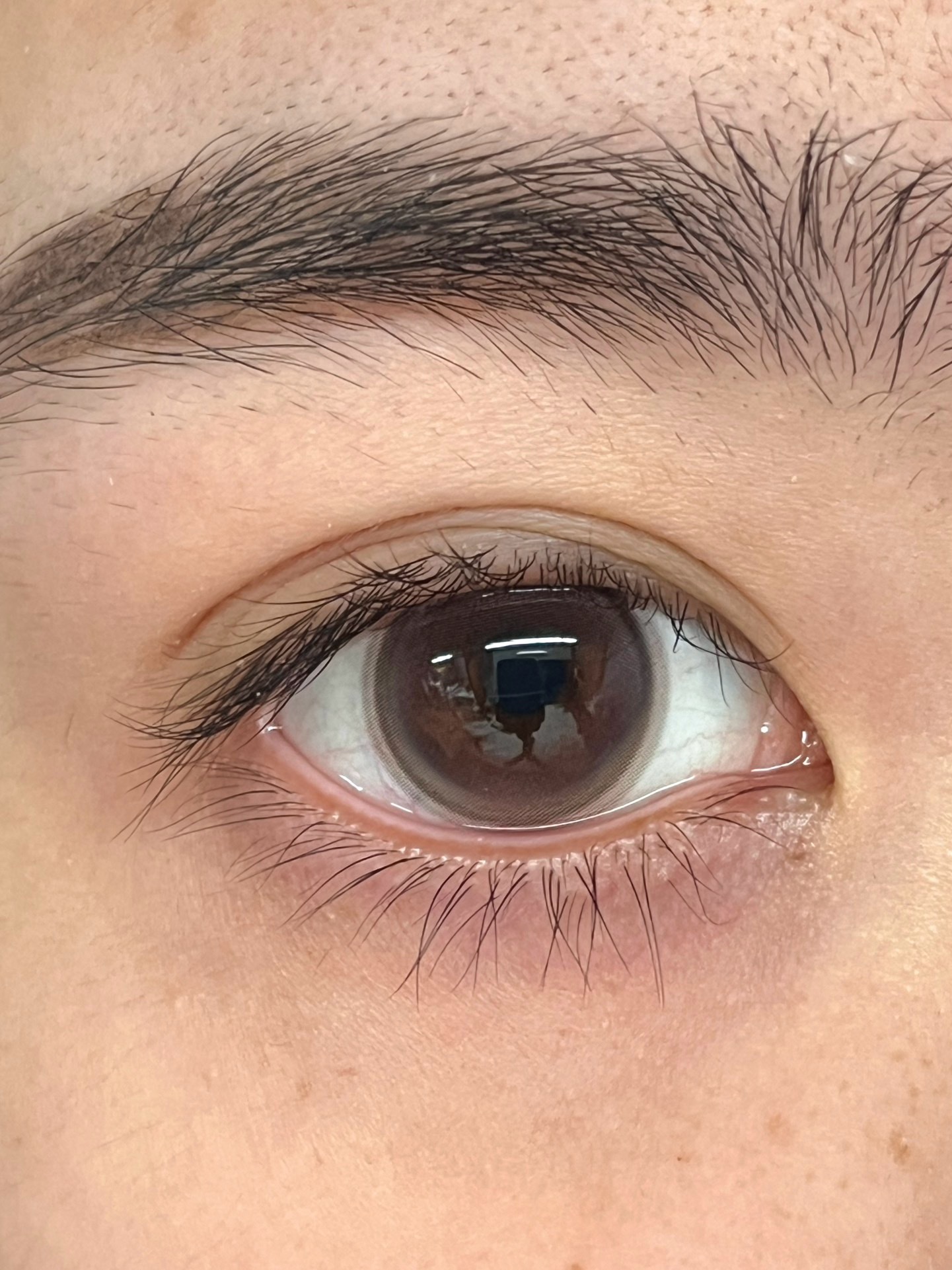 image_BFC87581-F08D-4B09-B1CC-22C0602416D6_1750693576