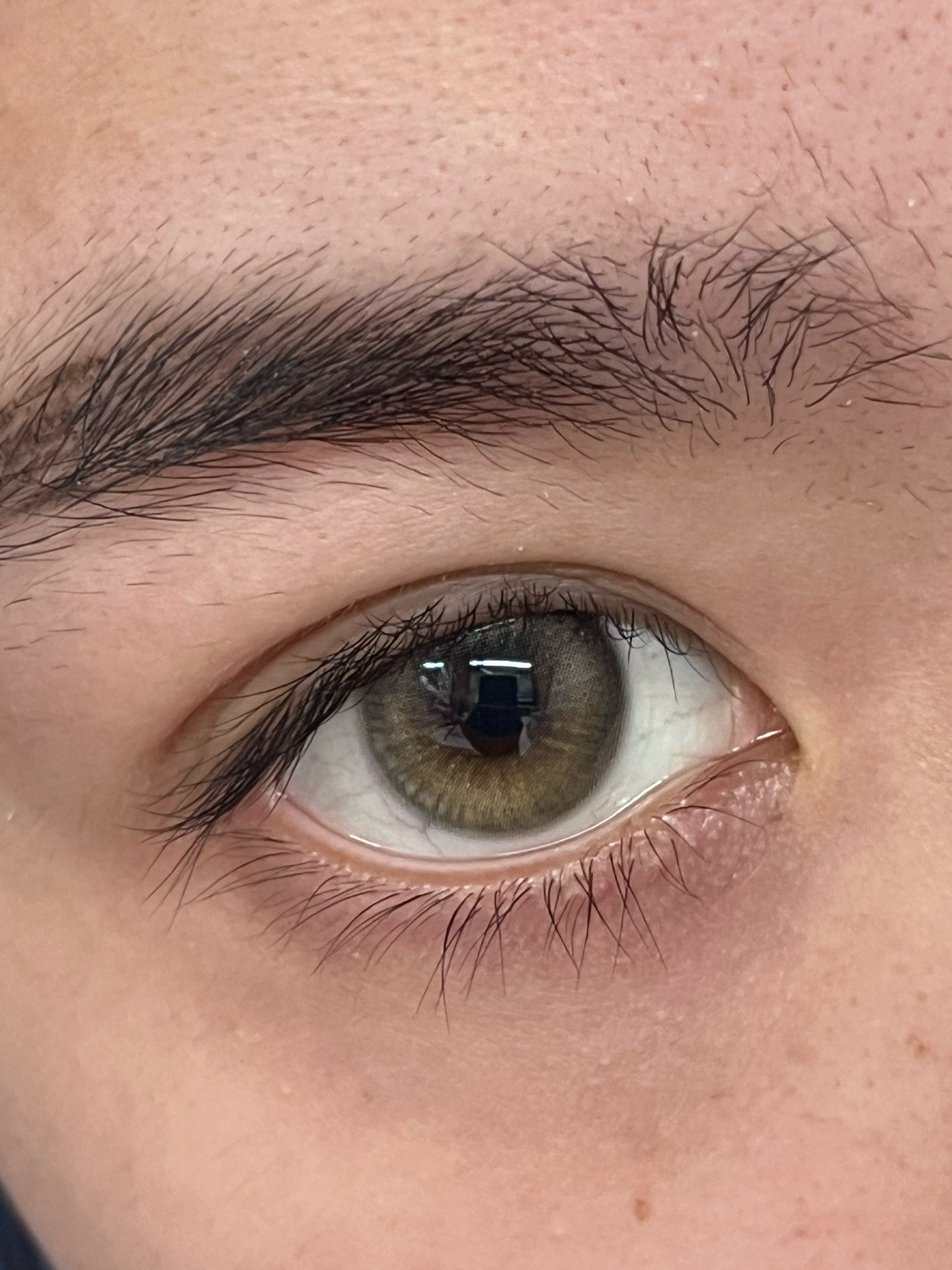 image_1955DD93-F602-43BB-8D18-FBB055E48815_1750693691