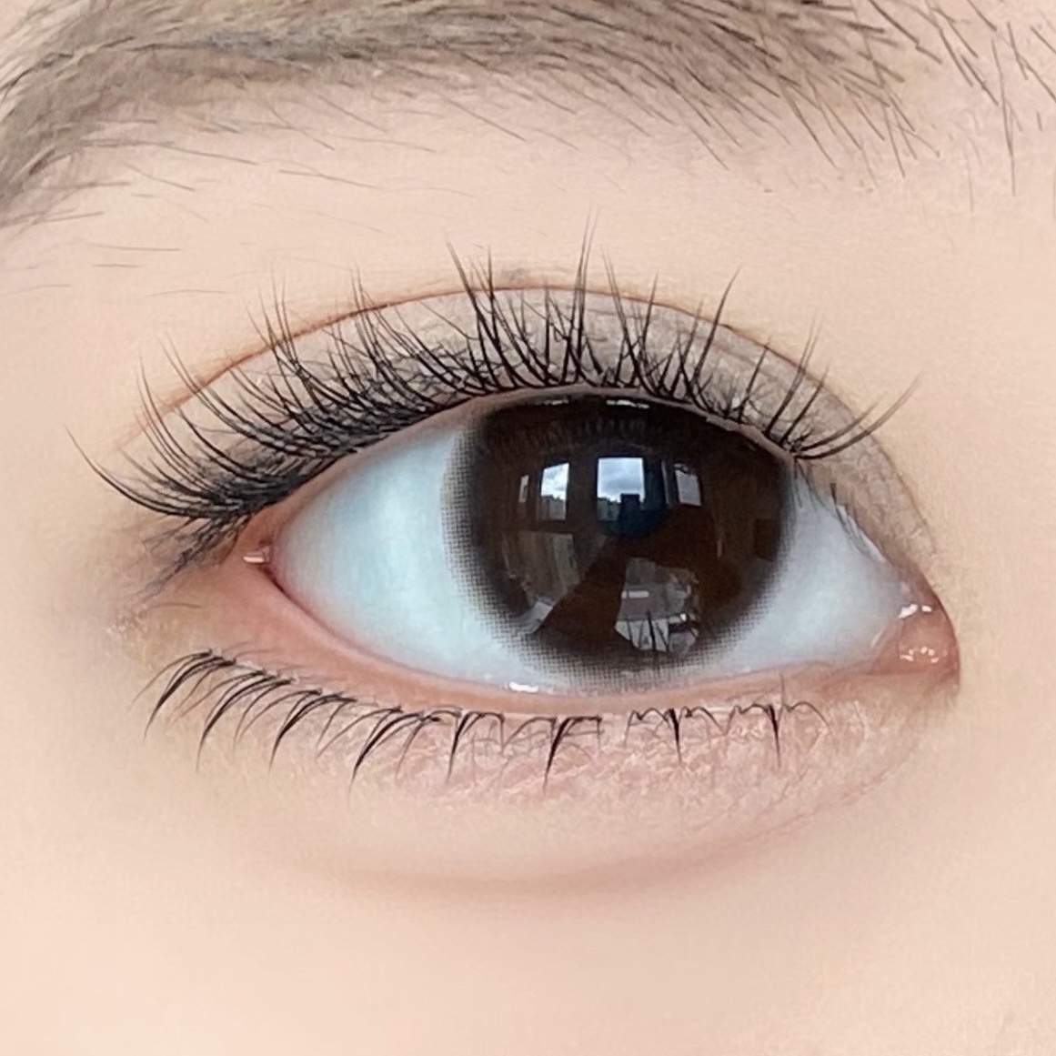 image_F9156B31-1AB4-472E-B177-BC413102FBBC_1751273275