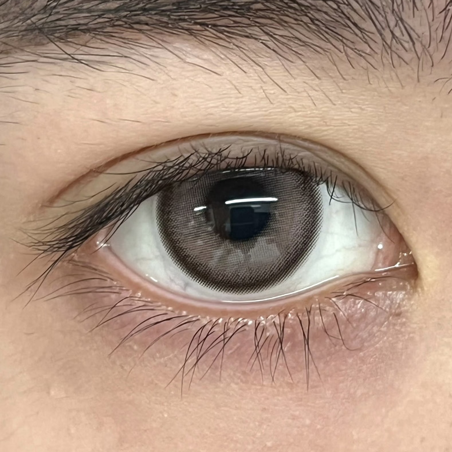 image_D5774B4C-38D0-453E-9269-2DE21AAB86B4_1751273444