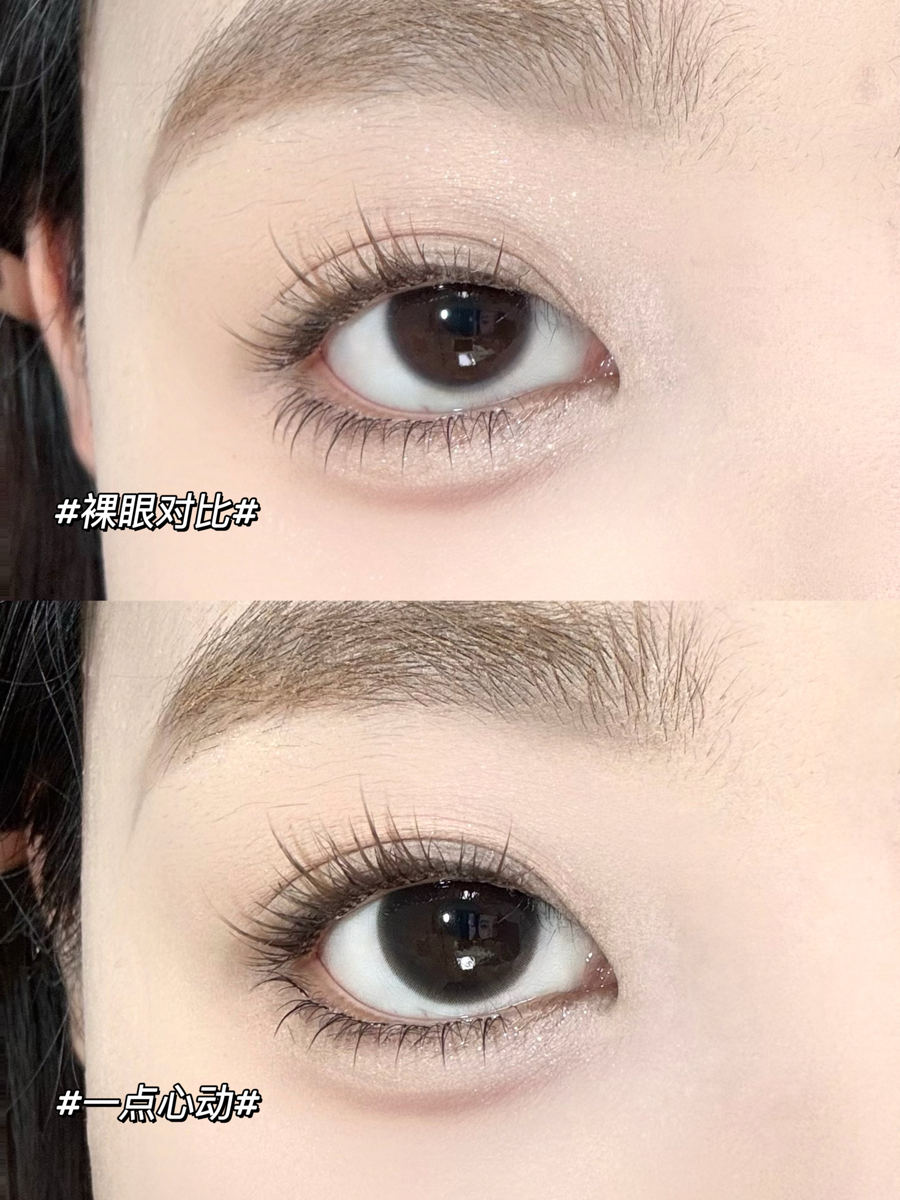 image_A50E8C76-B3D5-494A-8E9D-77577095A41B_1751274615