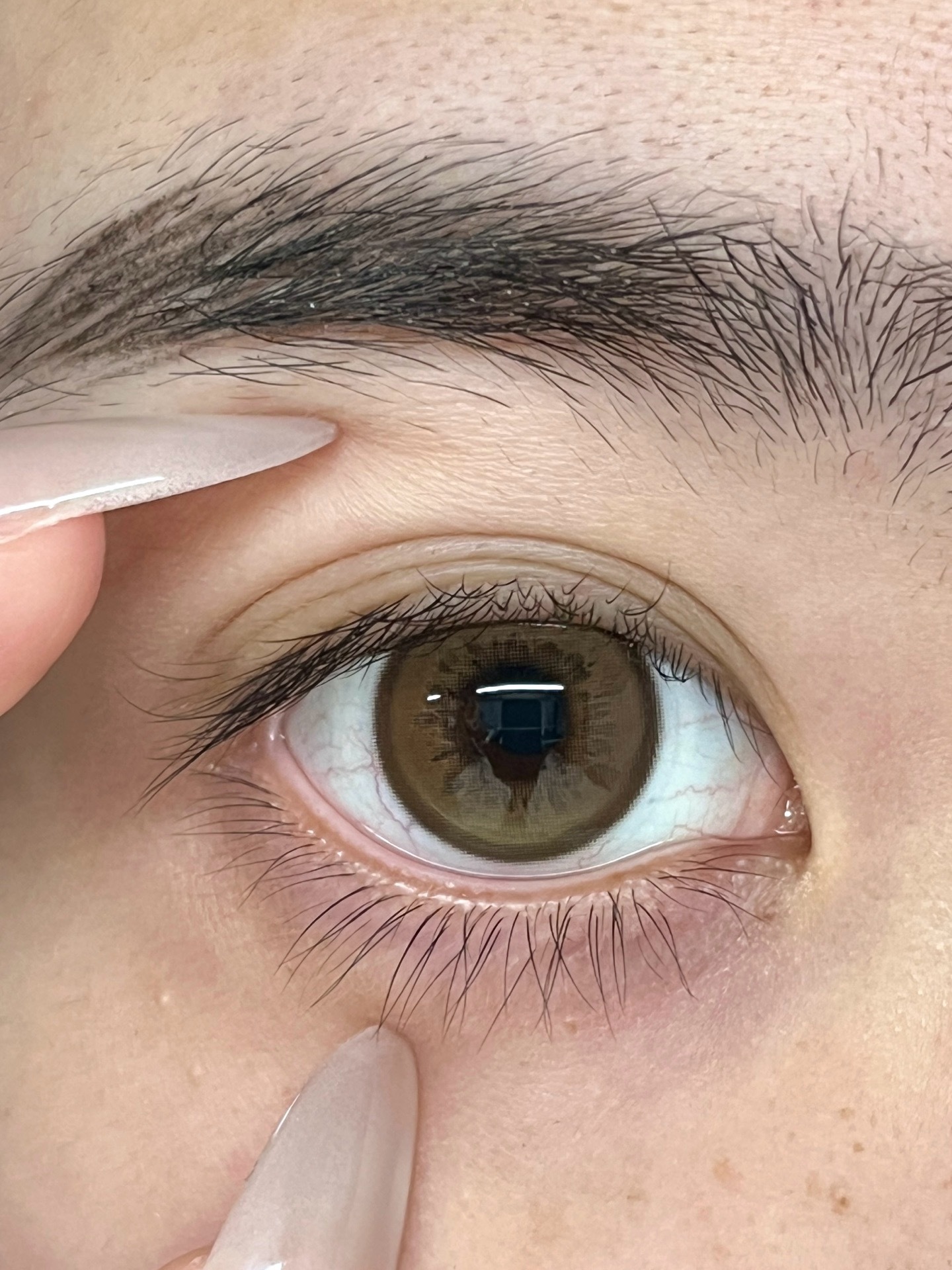 image_46F139B6-C263-4AA6-87ED-9EBE6A99FF8F_1752222149