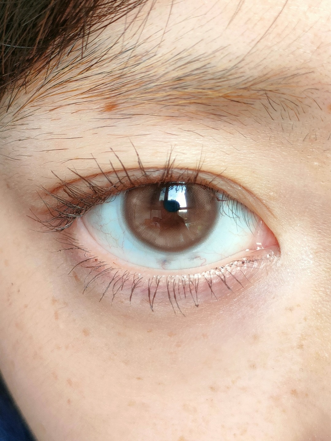 image_C68FD85C-3D6D-44E2-A8AA-516B5E2C922C_1753203326