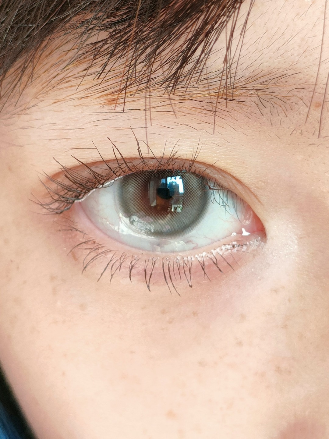 image_A8254166-895A-4A5F-A72B-30F80B021AE9_1753203435