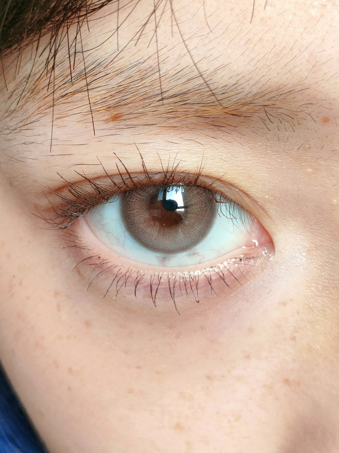 image_9F0F886E-354E-4457-A93D-16B2FD690873_1753207036