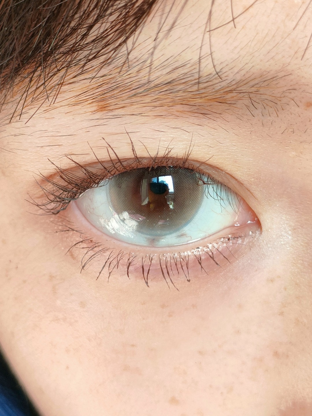 image_0DF0A478-A03E-49DA-A994-561636A3E241_1753207127